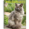 2026 Willow Creek Press Weekly Engagement Calendar, 6-1/2in x 8-1/2in, What Cats Teach Us, January To December, 54666