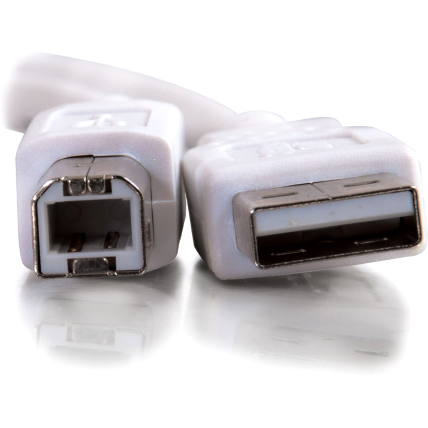 C2G 1m USB Cable - USB A to USB B Cable - Type A Male - Type B Male - 3ft - White - Image 4