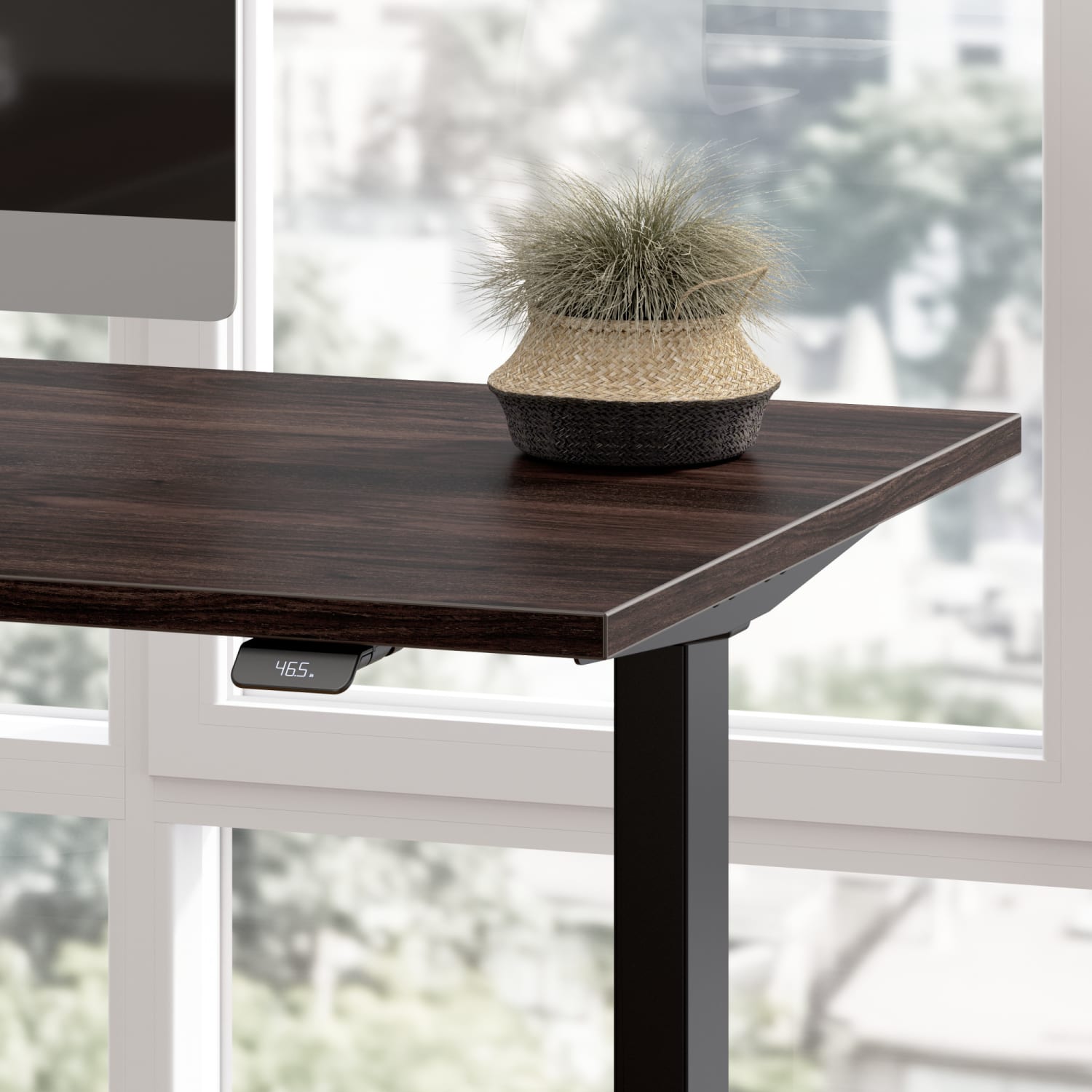 Bush Business Furniture Move 40 Series Electric 60inW x 30inD Electric Height-Adjustable Standing Desk, Black Walnut/Black, Standard Delivery - Image 5