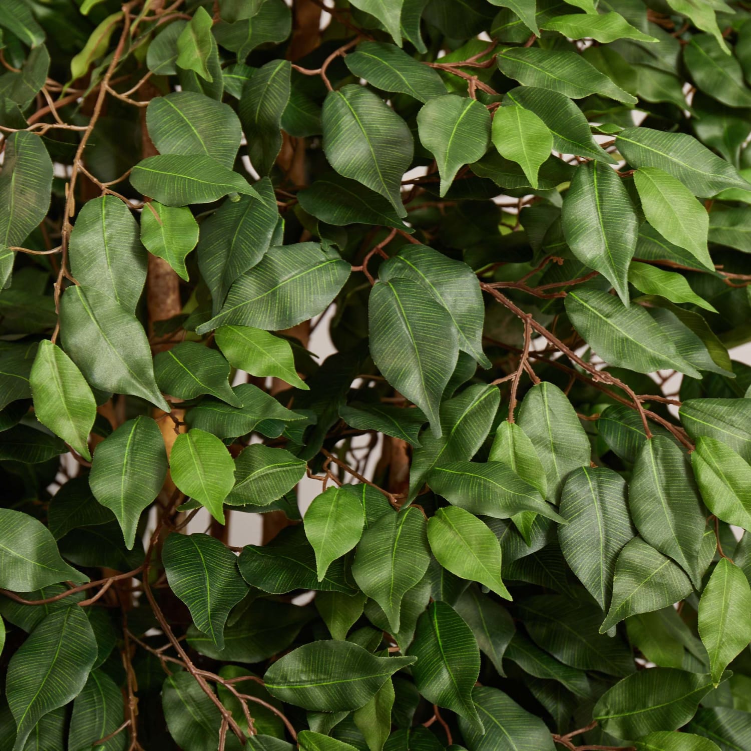 Nearly Natural Ficus 72inH Artificial Tree With Planter, 72inH x 37inW x 30inD, Green - Image 5