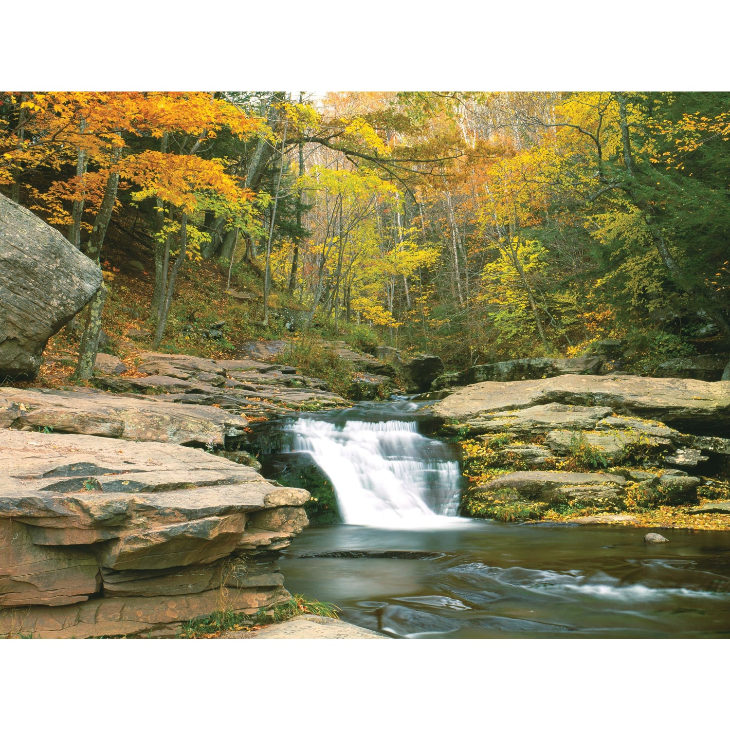 Stream
