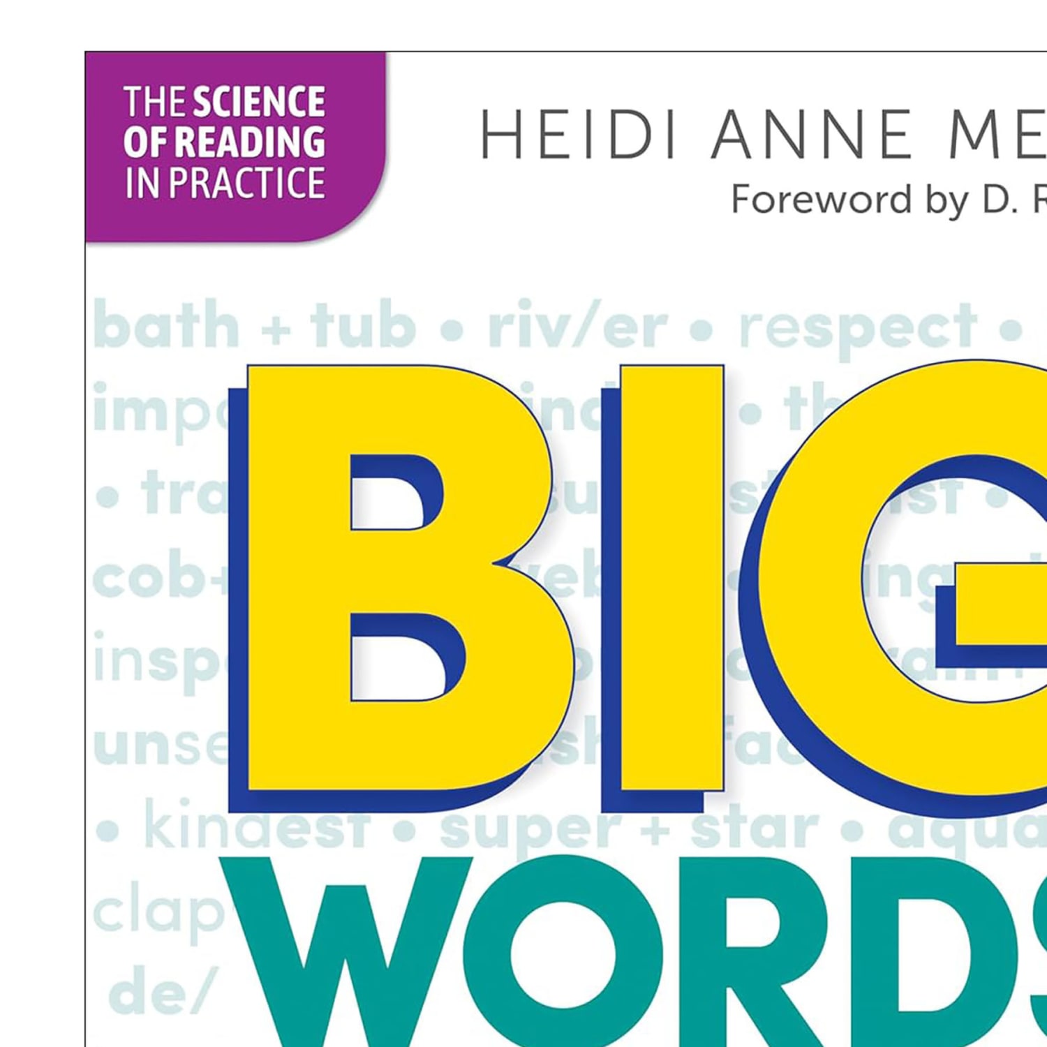 Scholastic Teaching Solutions Big Words For Young Readers Professional Book - Image 4