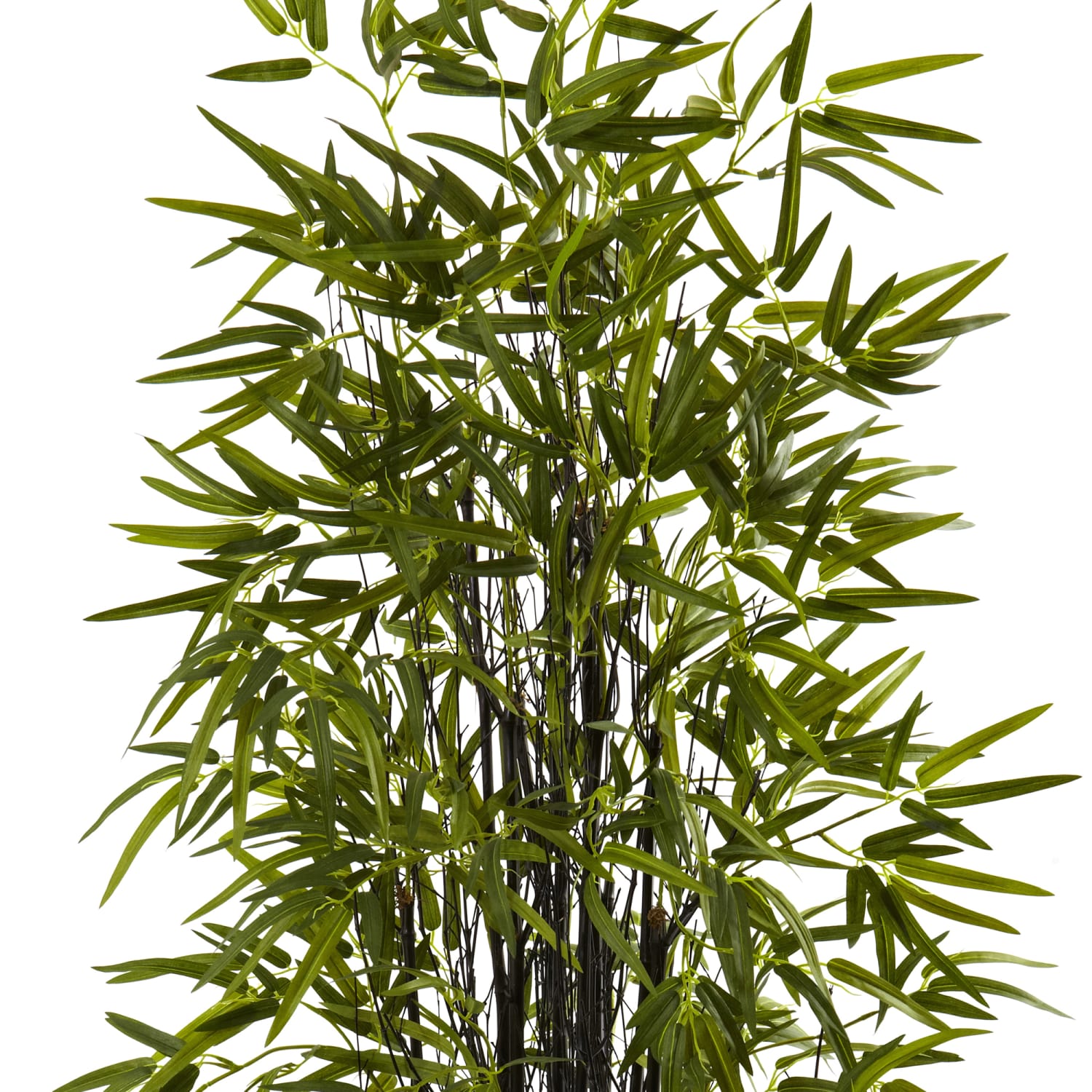 Nearly Natural Black Bamboo 60inH Plastic Tree With Pot, 60inH x 31-1/2inW x 31-1/2inD, Green - Image 3