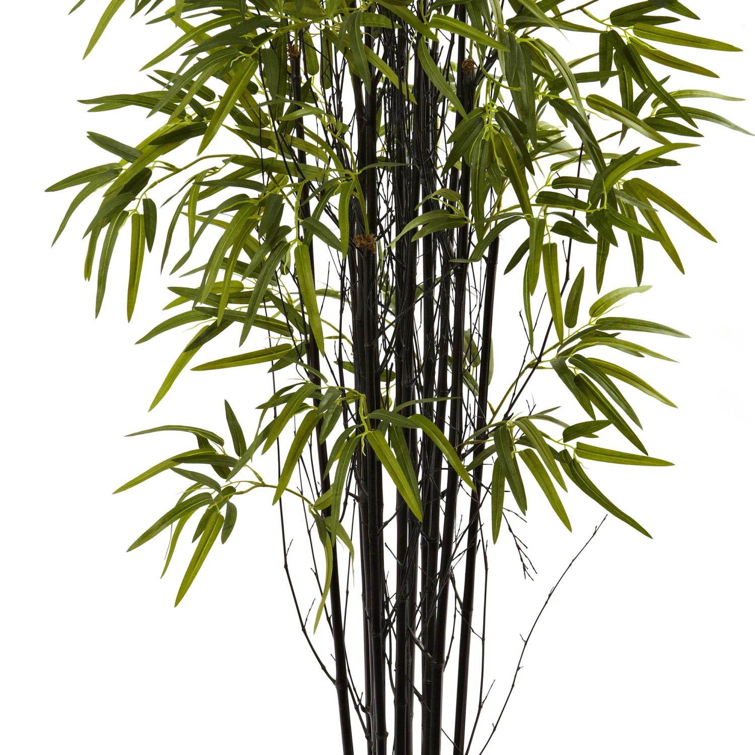 Nearly Natural Black Bamboo 60inH Plastic Tree With Pot, 60inH x 31-1/2inW x 31-1/2inD, Green - Image 4