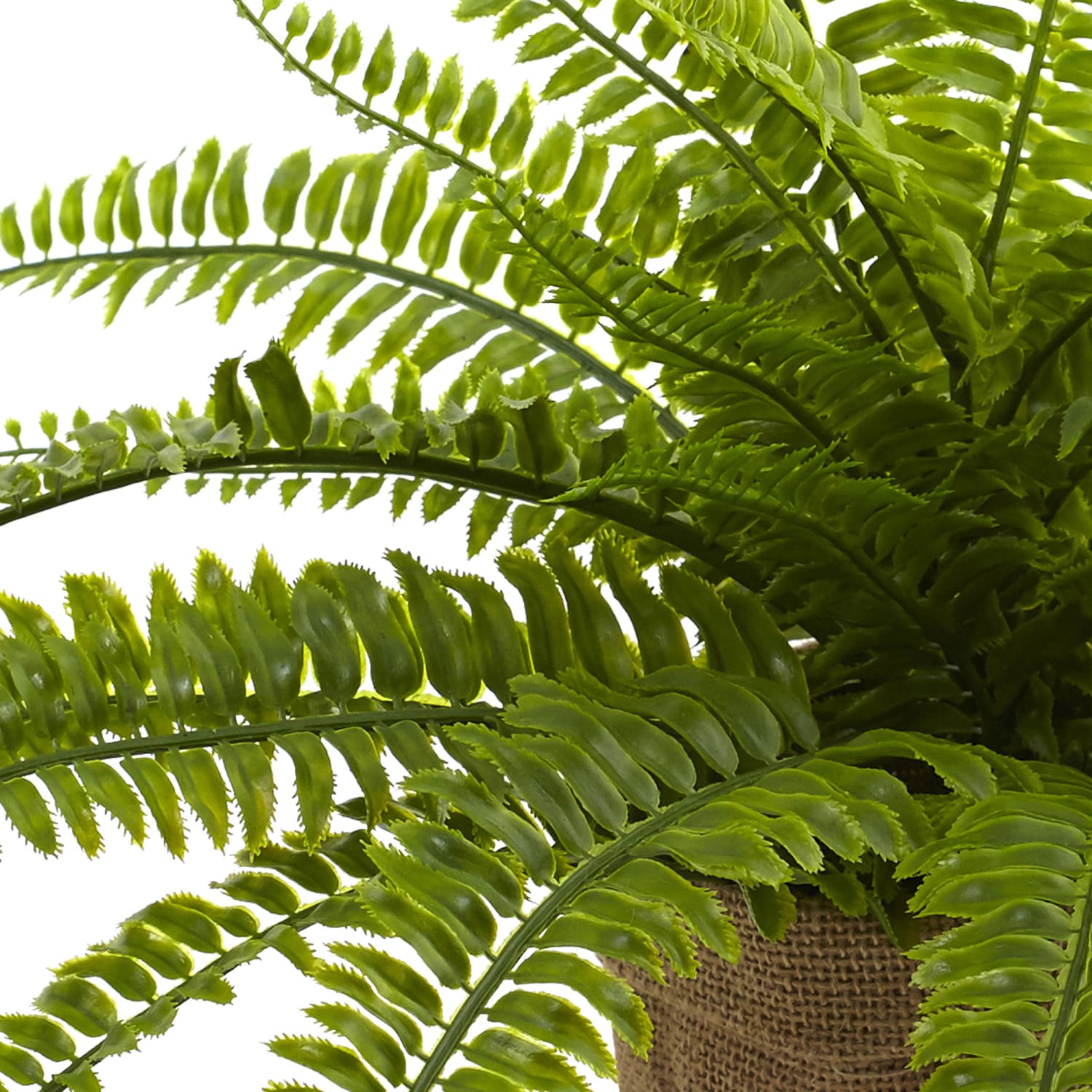 Nearly Natural Boston Fern 15inH Artificial Plants With Burlap Planters, 15inH x 22inW x 18inD, Green, Set Of 2 - Image 3