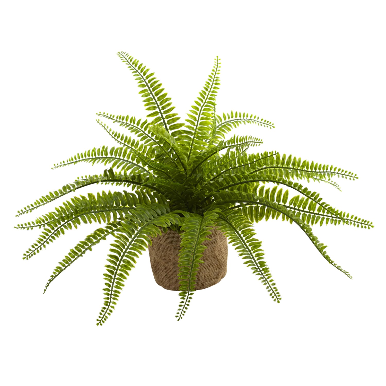 Nearly Natural Boston Fern 15inH Artificial Plants With Burlap Planters, 15inH x 22inW x 18inD, Green, Set Of 2 - Image 5