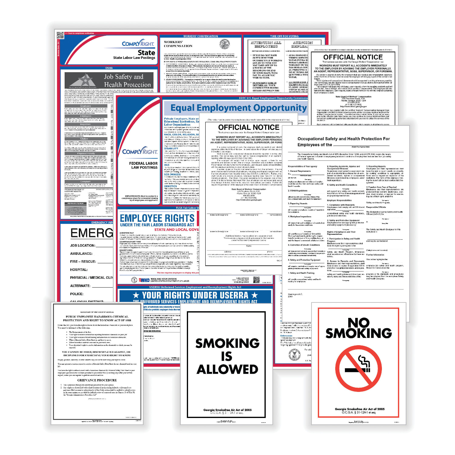 ComplyRight Public Sector Federal And State Poster Set, English, Florida - Image 5