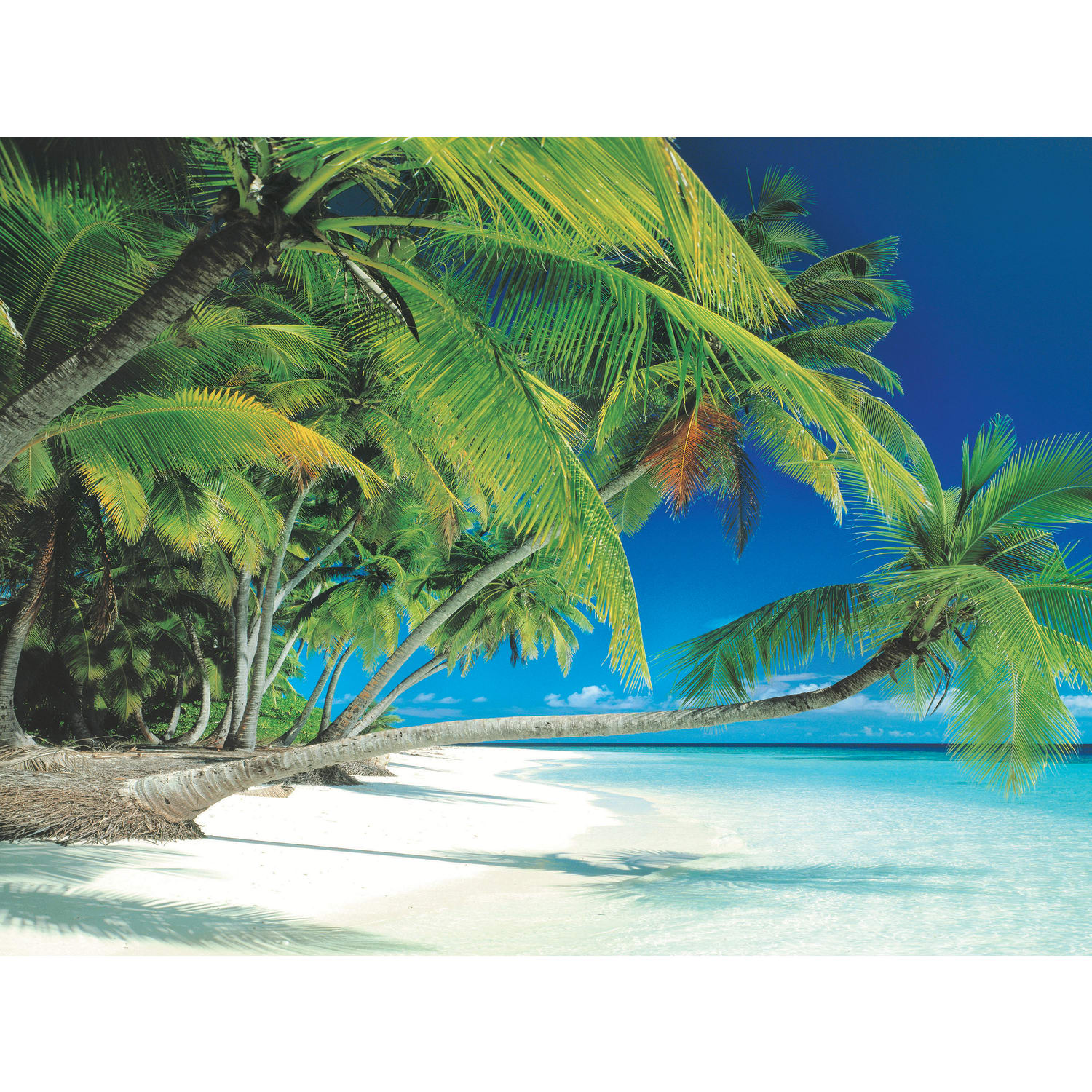Biggies Landscape/Seascape Mural, 40in x 30in, Unframed, Beach