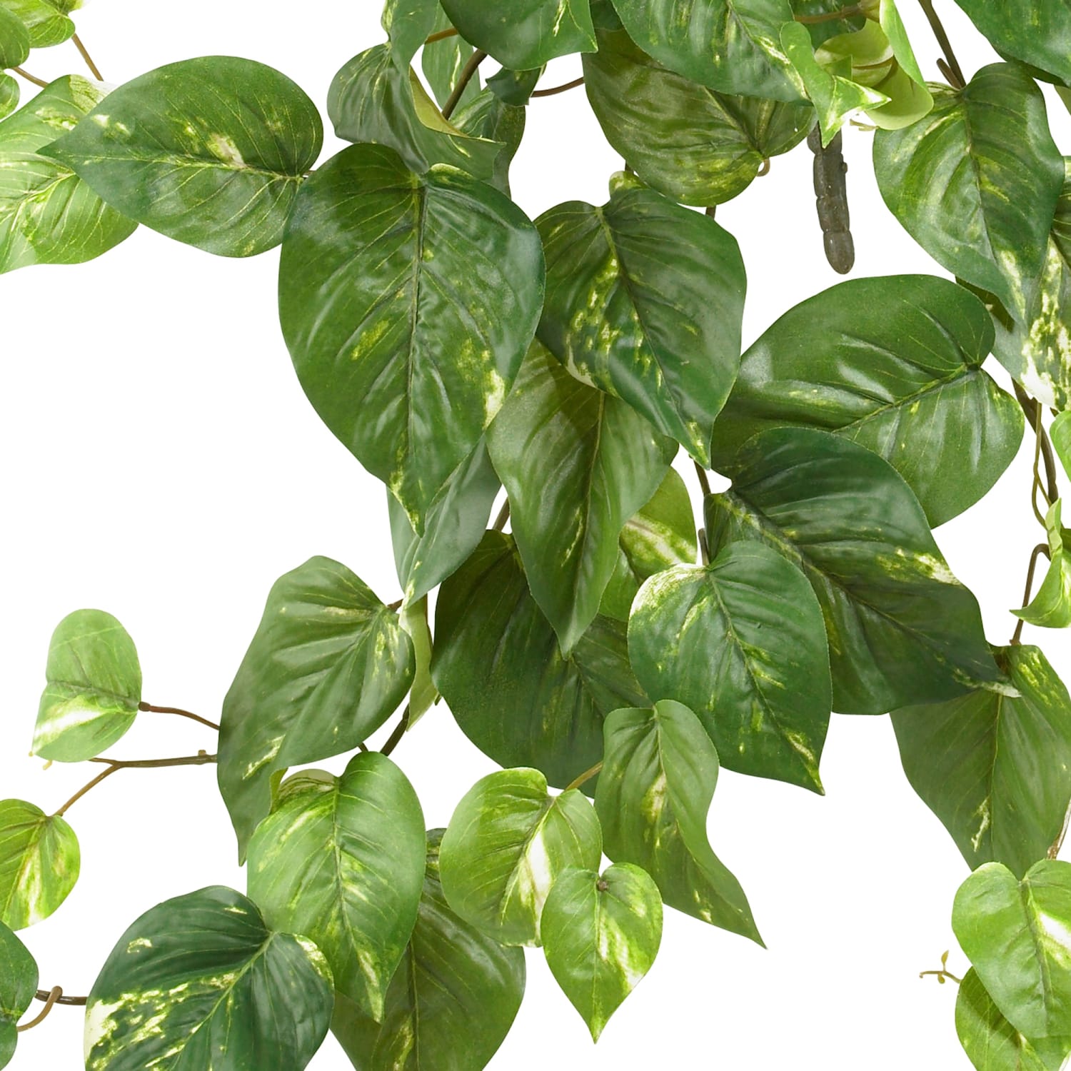 Nearly Natural 24in Pothos Hanging Bushes, Green, Set Of 3 Bushes - Image 3