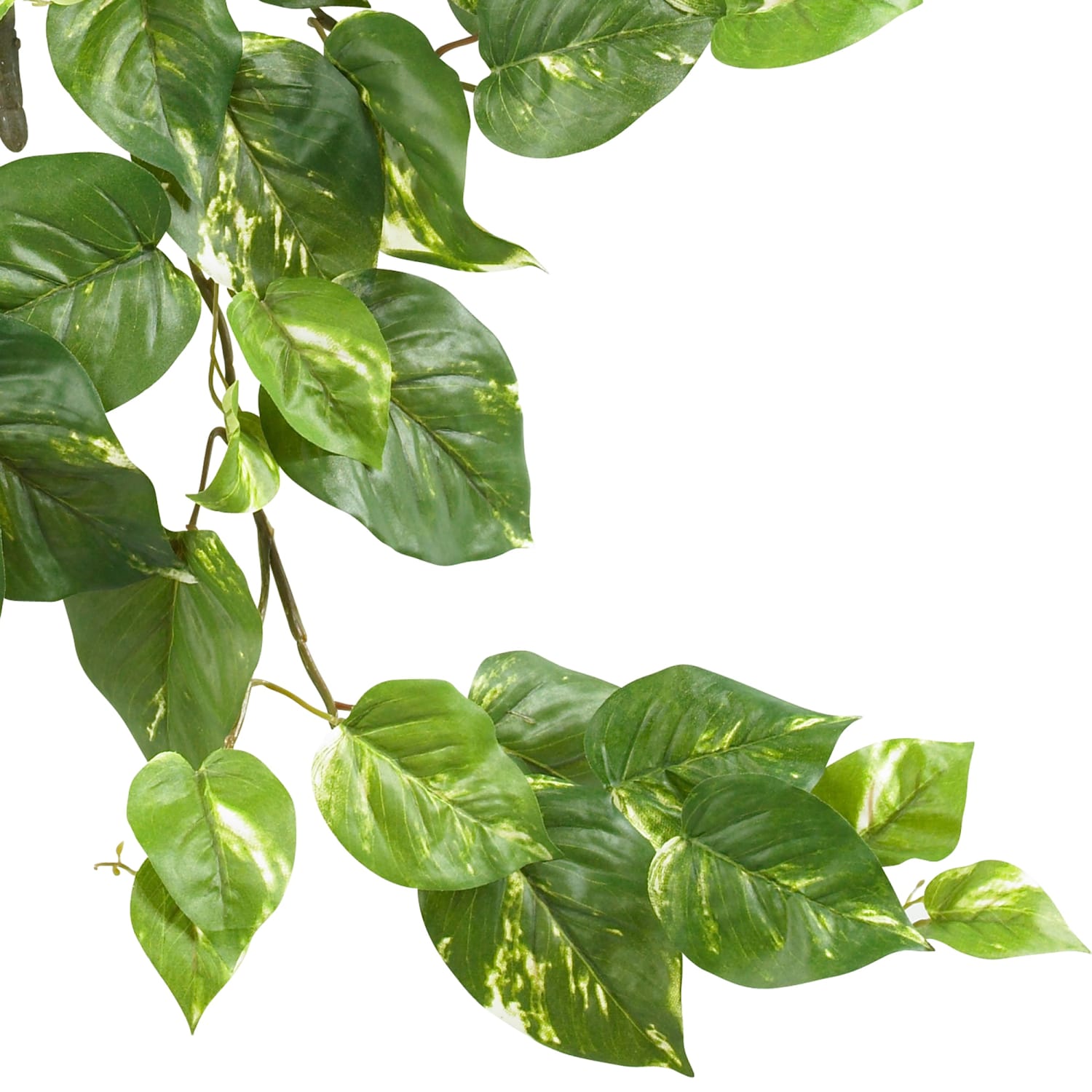 Nearly Natural 24in Pothos Hanging Bushes, Green, Set Of 3 Bushes - Image 4