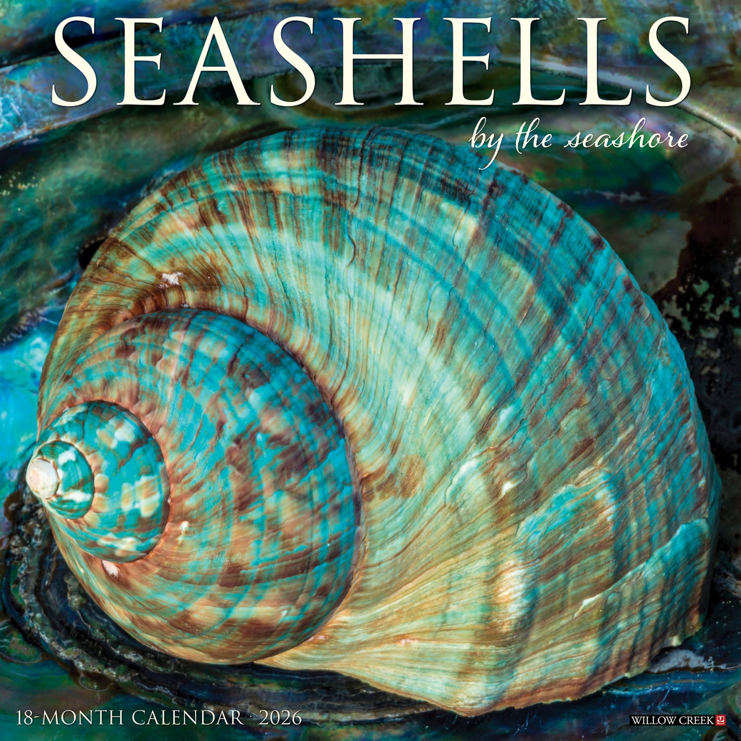 2026 Willow Creek Press Art & Design Monthly Wall Calendar, 12in x 12in, Seashells, January To December, 52709