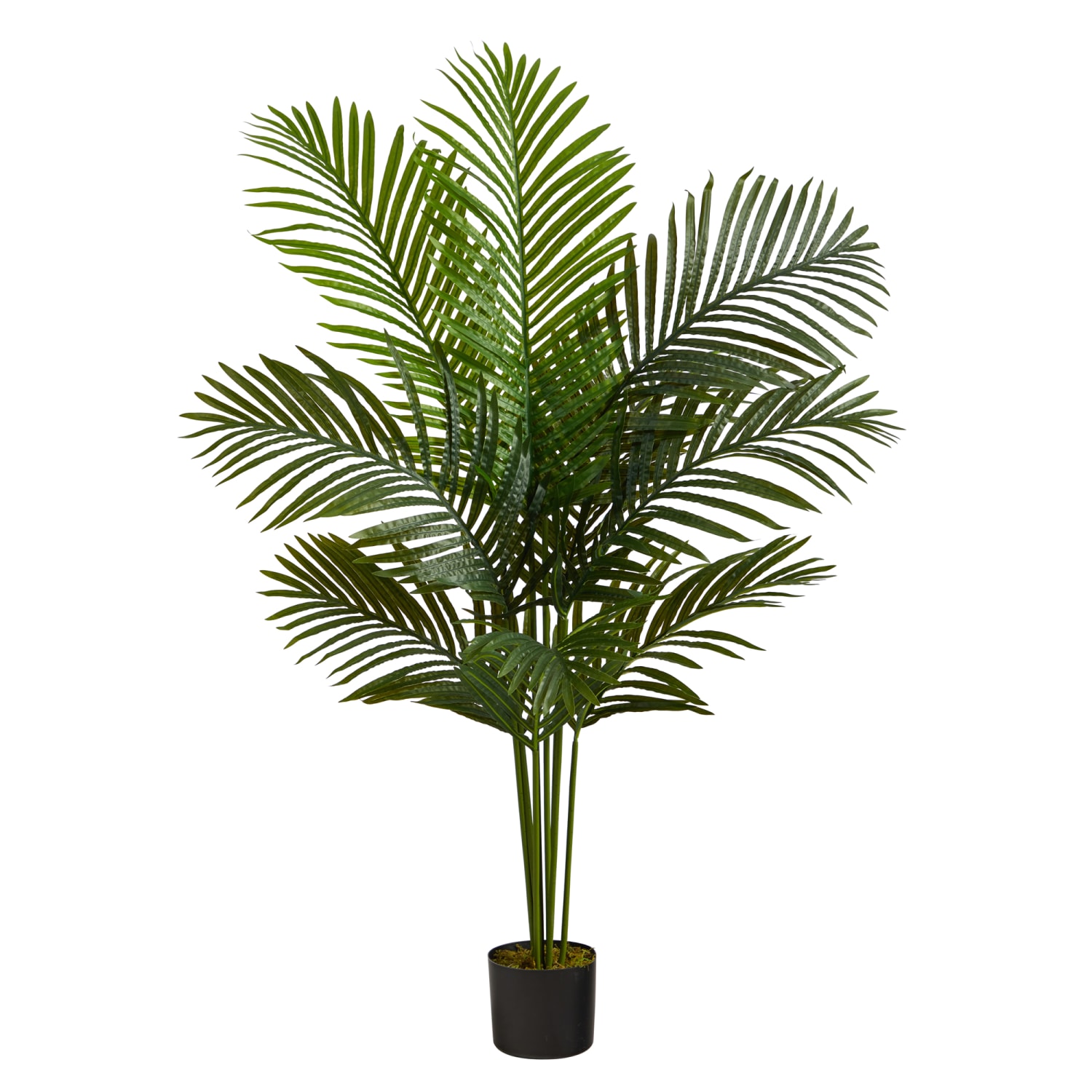 Nearly Natural Paradise Palm 48inH Artificial Plant With Planter, 48inH x 16inW x 16inD, Green/Black