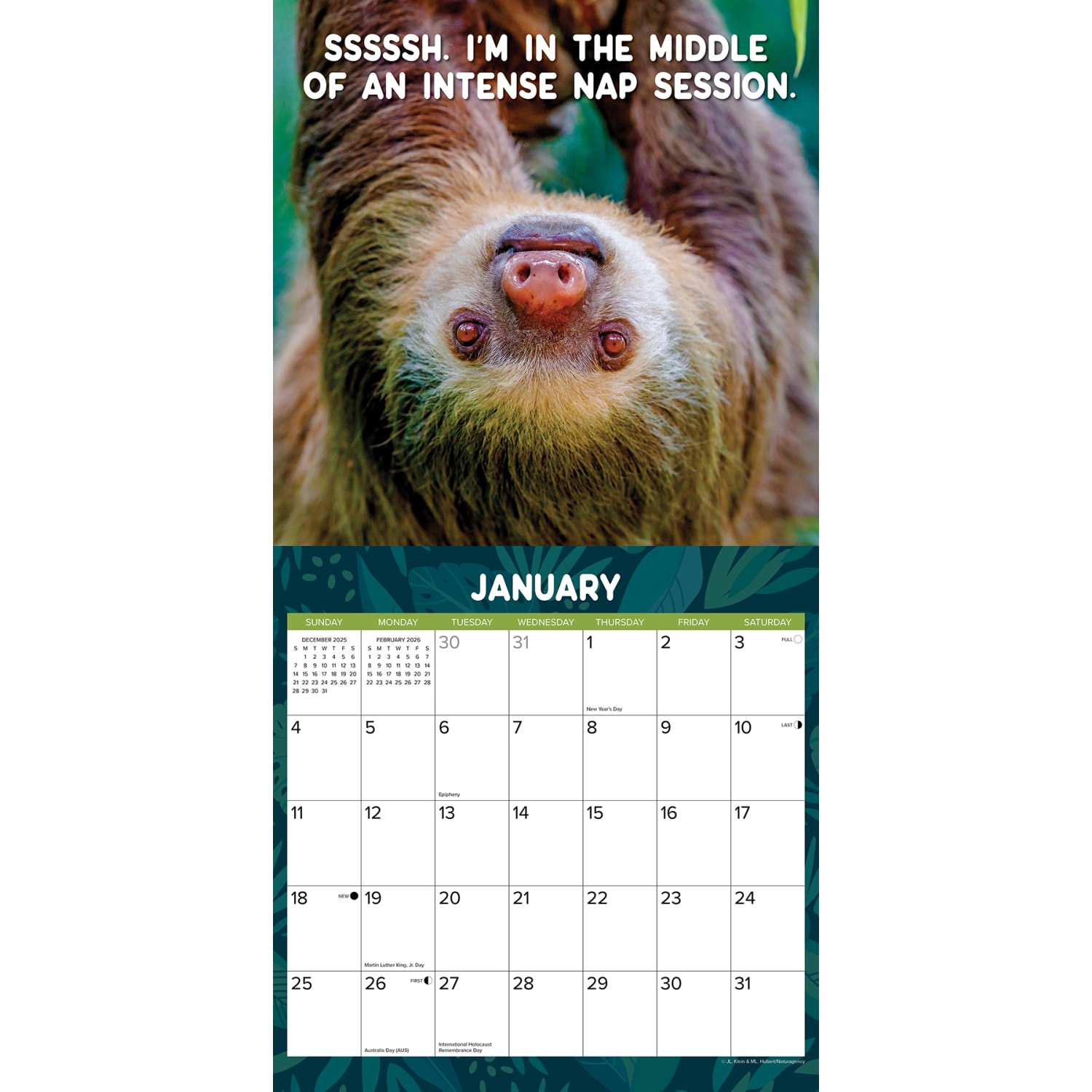 2026 Willow Creek Press Art & Design Monthly Wall Calendar, 12in x 12in, Sloth Mode, January To December, 52822 - Image 3