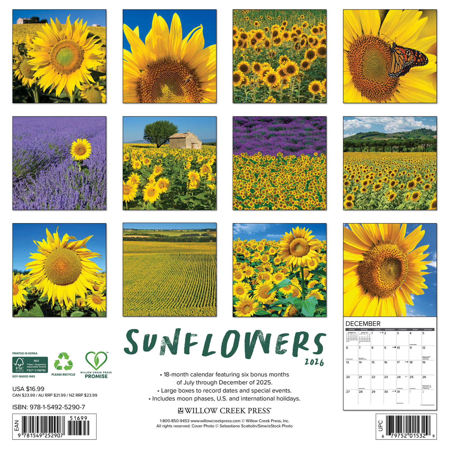 2026 Willow Creek Press Art & Design Monthly Wall Calendar, 12in x 12in, Sunflowers, January To December, 52907 - Image 6