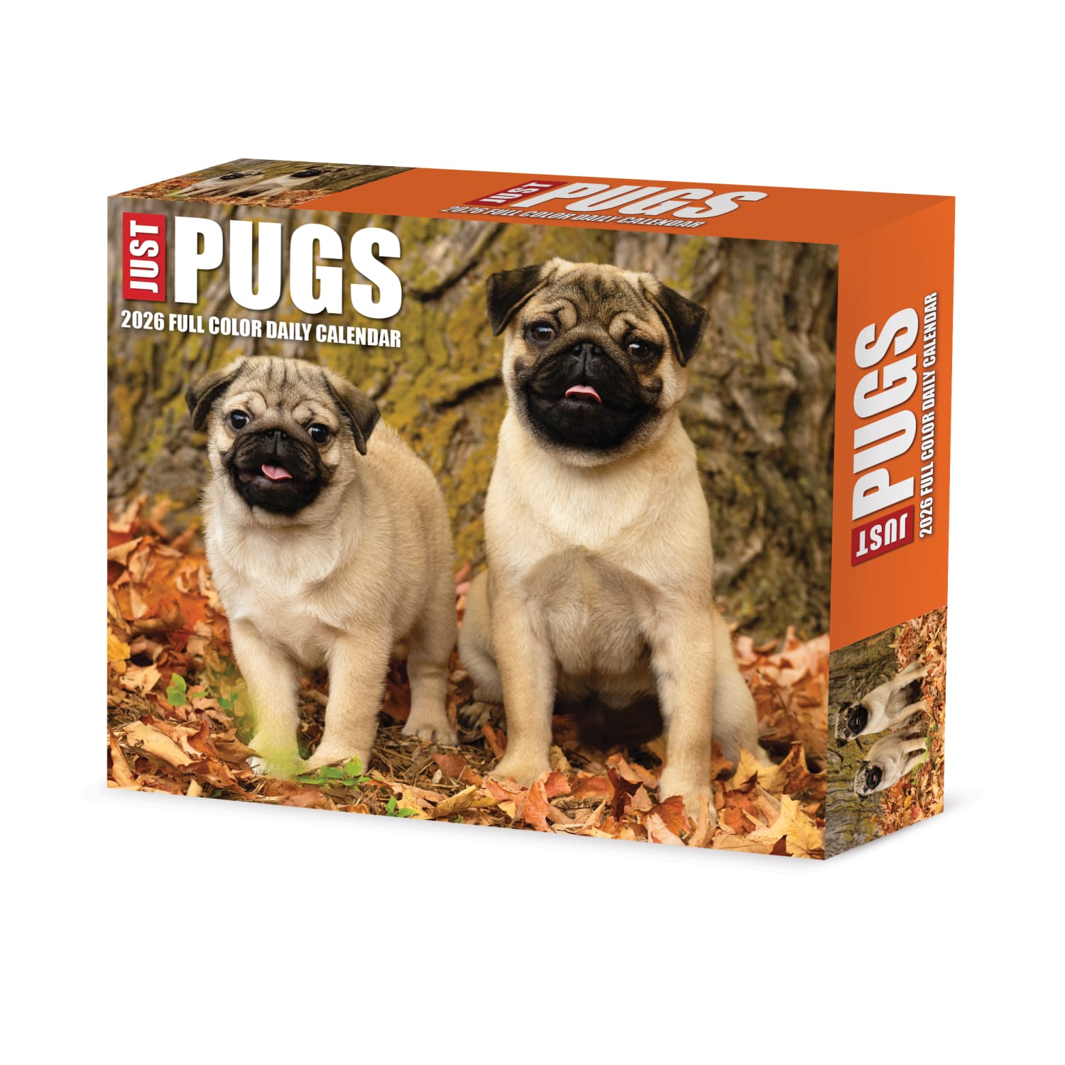 2026 Willow Creek Press Page-A-Day Daily Desk Calendar, 6-1/4in x 5-1/2in, Just Pugs, January To December, 54376