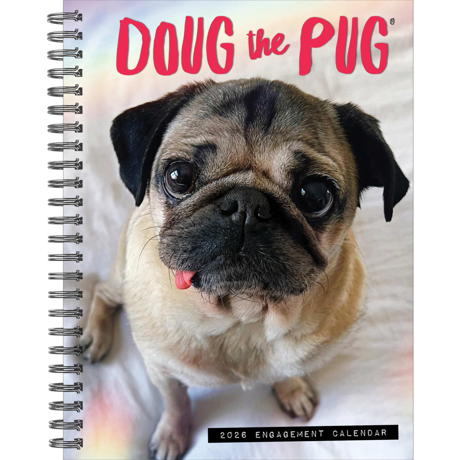 2026 Willow Creek Press Weekly Engagement Calendar, 6-1/2in x 8-1/2in, Doug The Pug, January To December, 54642