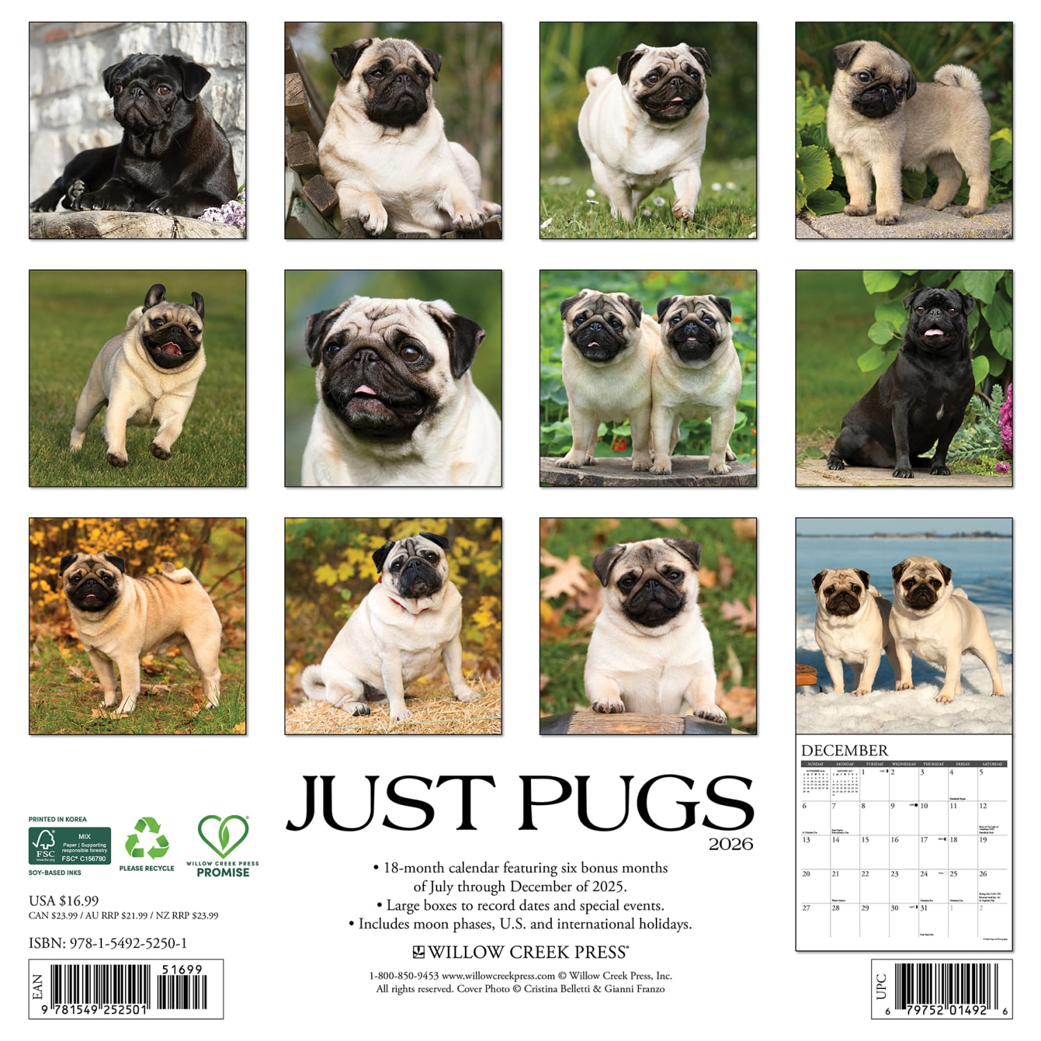 2026 Willow Creek Press Animals Monthly Wall Calendar, 12in x 12in, Pugs, January To December, 52501 - Image 6