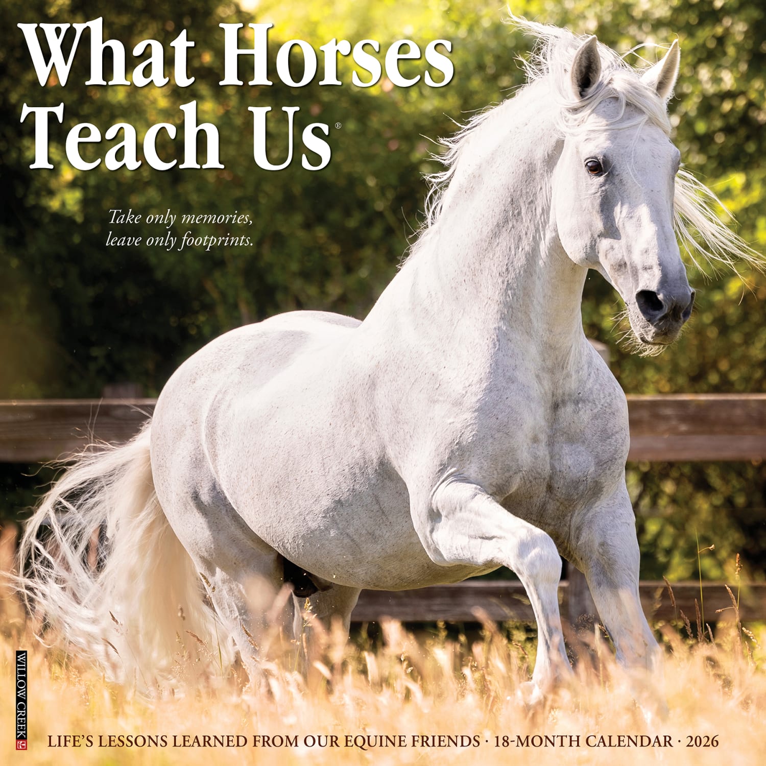 2026 Willow Creek Press Animals Monthly Wall Calendar, 12in x 12in, What Horses Teach Us, January To December, 53195