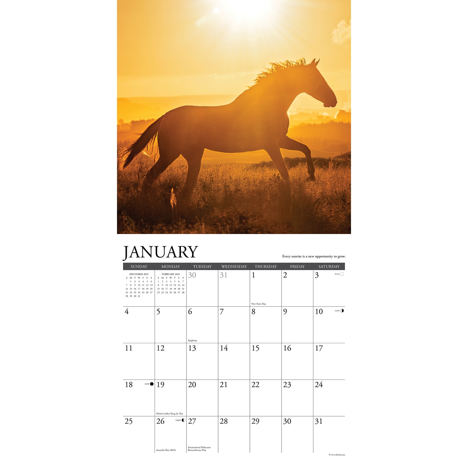 2026 Willow Creek Press Animals Monthly Wall Calendar, 12in x 12in, What Horses Teach Us, January To December, 53195 - Image 3