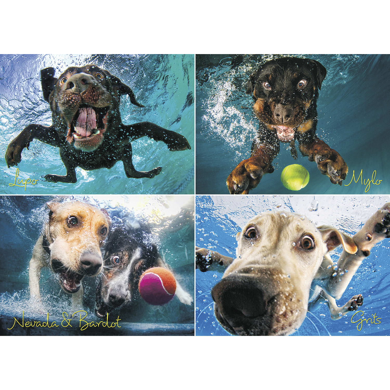Willow Creek Press 1,000-Piece Puzzle, Underwater Dogs: Splash - Image 3
