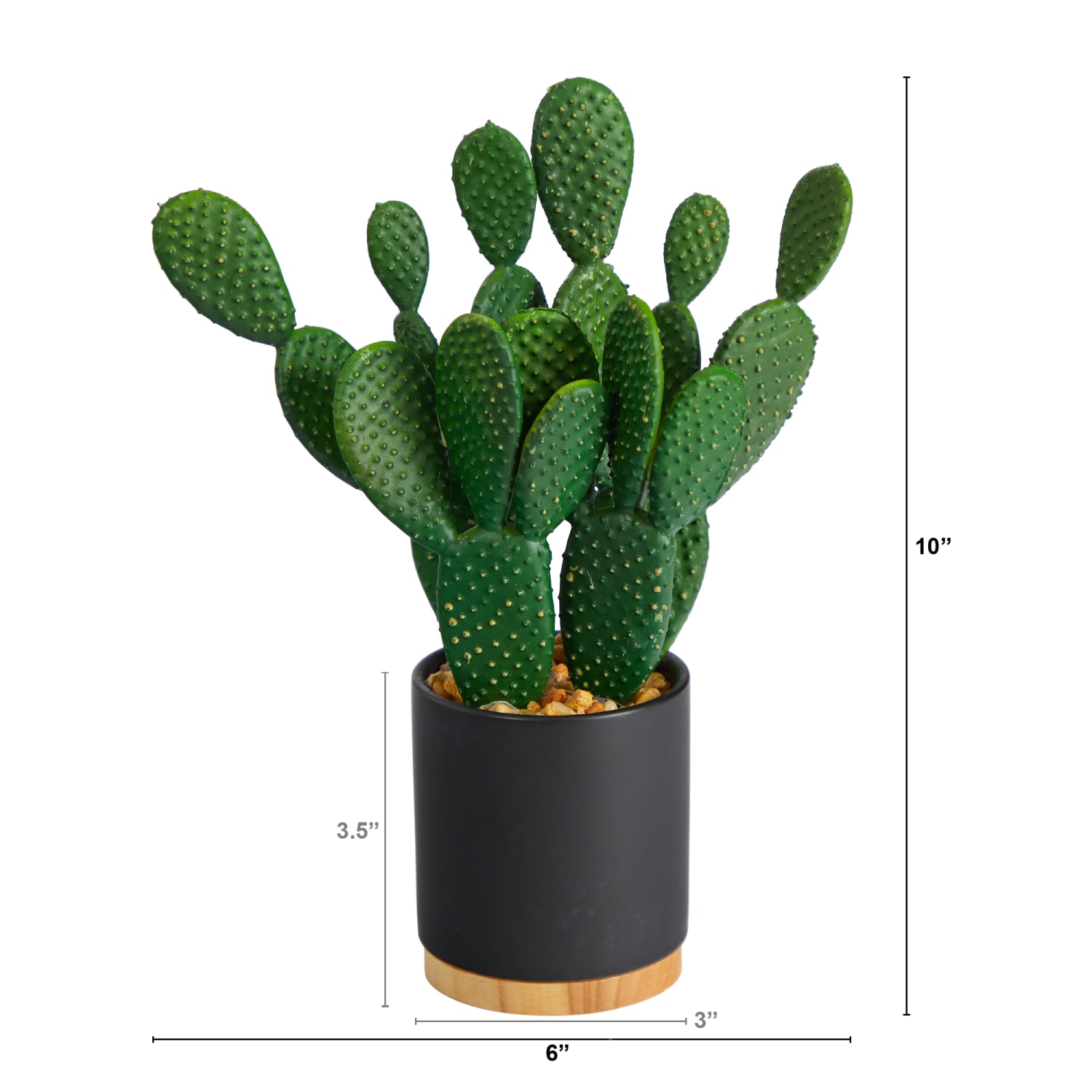 Nearly Natural Cactus Succulent 10inH Artificial Plant With Planter, 10inH x 6inW x 3inD, Green - Image 3