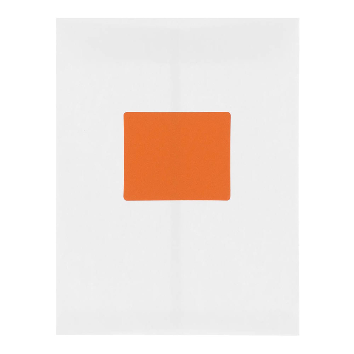 JAM Paper Mailing Address Labels, Rectangle, 3 1/3in x 4in, Orange, Pack Of 120 - Image 6