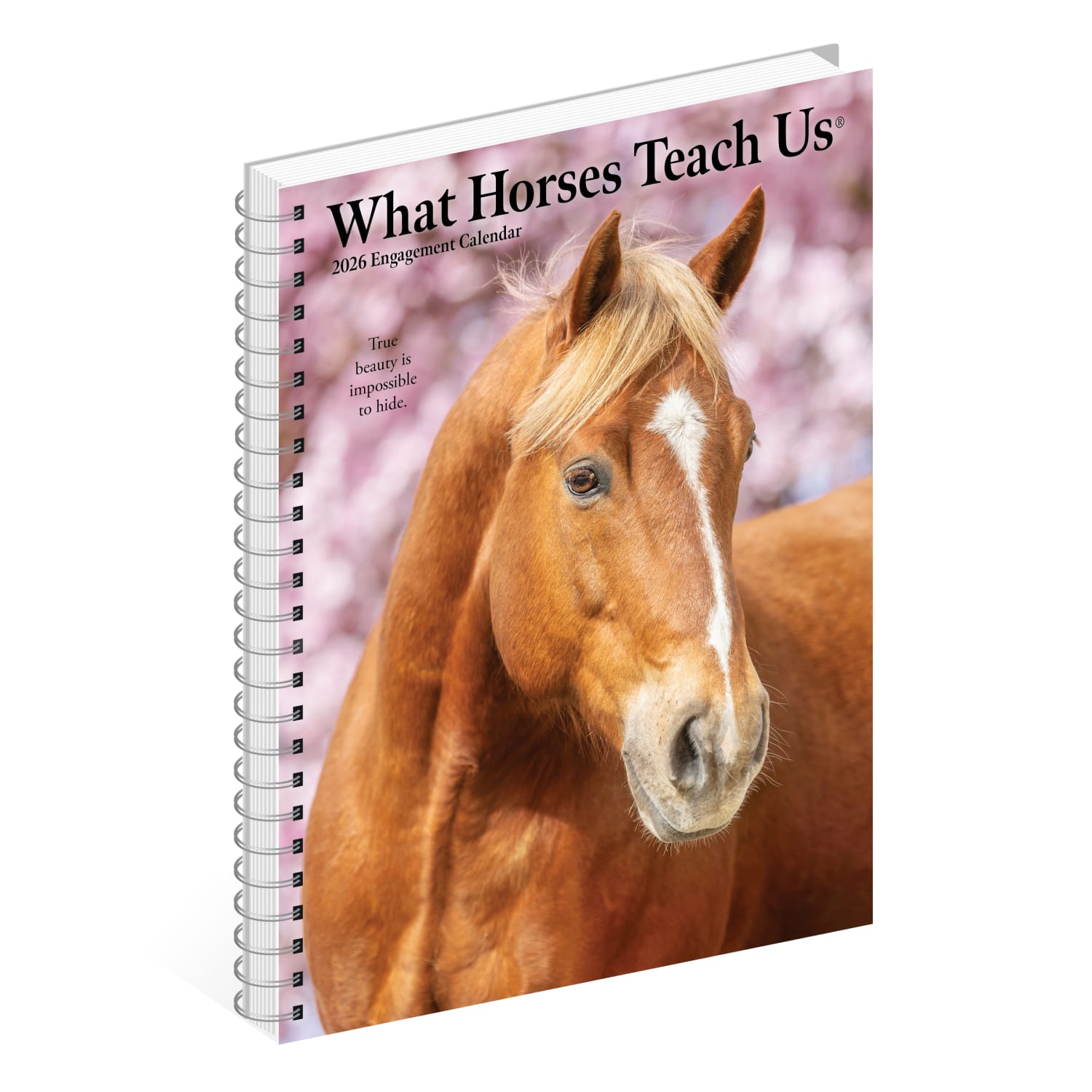 2026 Willow Creek Press Weekly Engagement Calendar, 6-1/2in x 8-1/2in, Stallion Stories, January To December, 54697 - Image 4