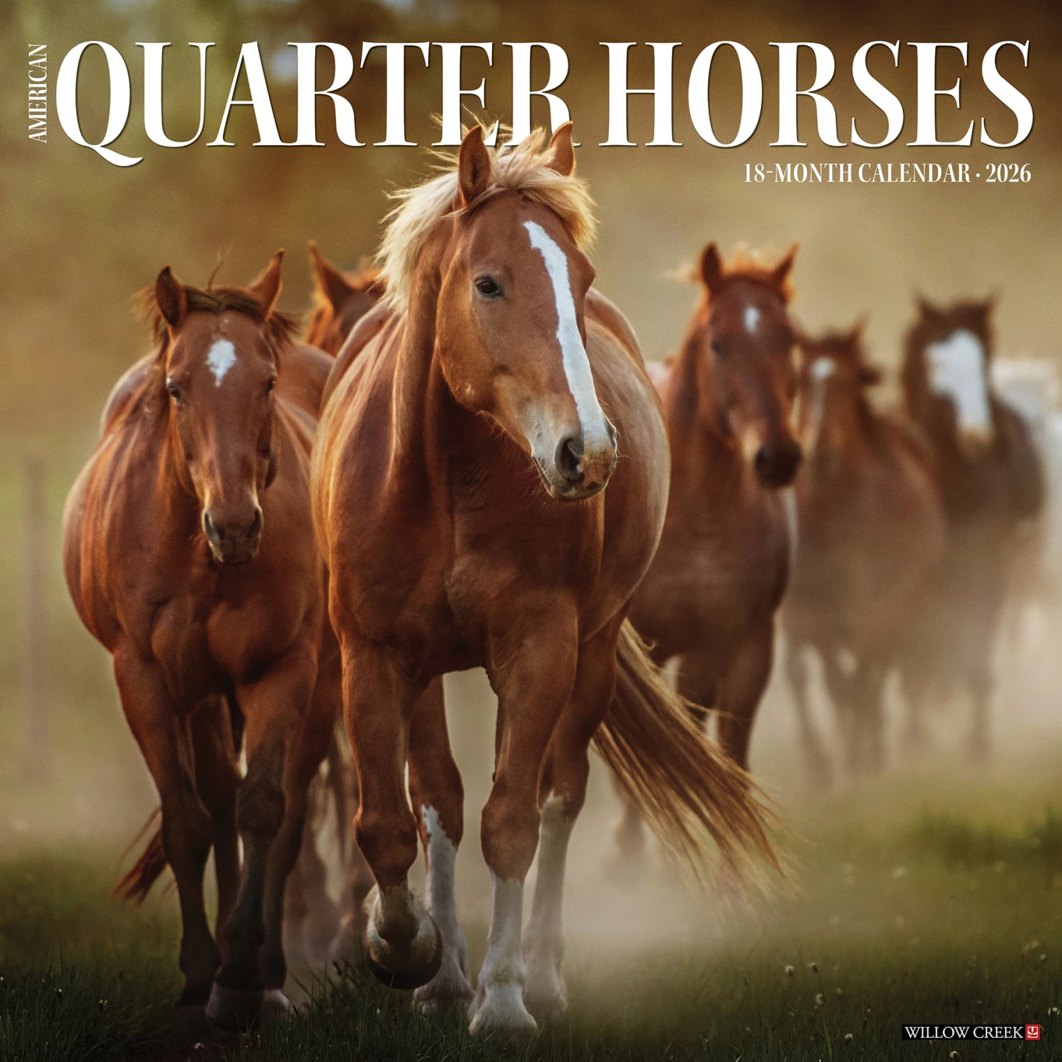 2026 Willow Creek Press Animals Monthly Wall Calendar, 12in x 12in, American Quarter Horses, January To December, 49853