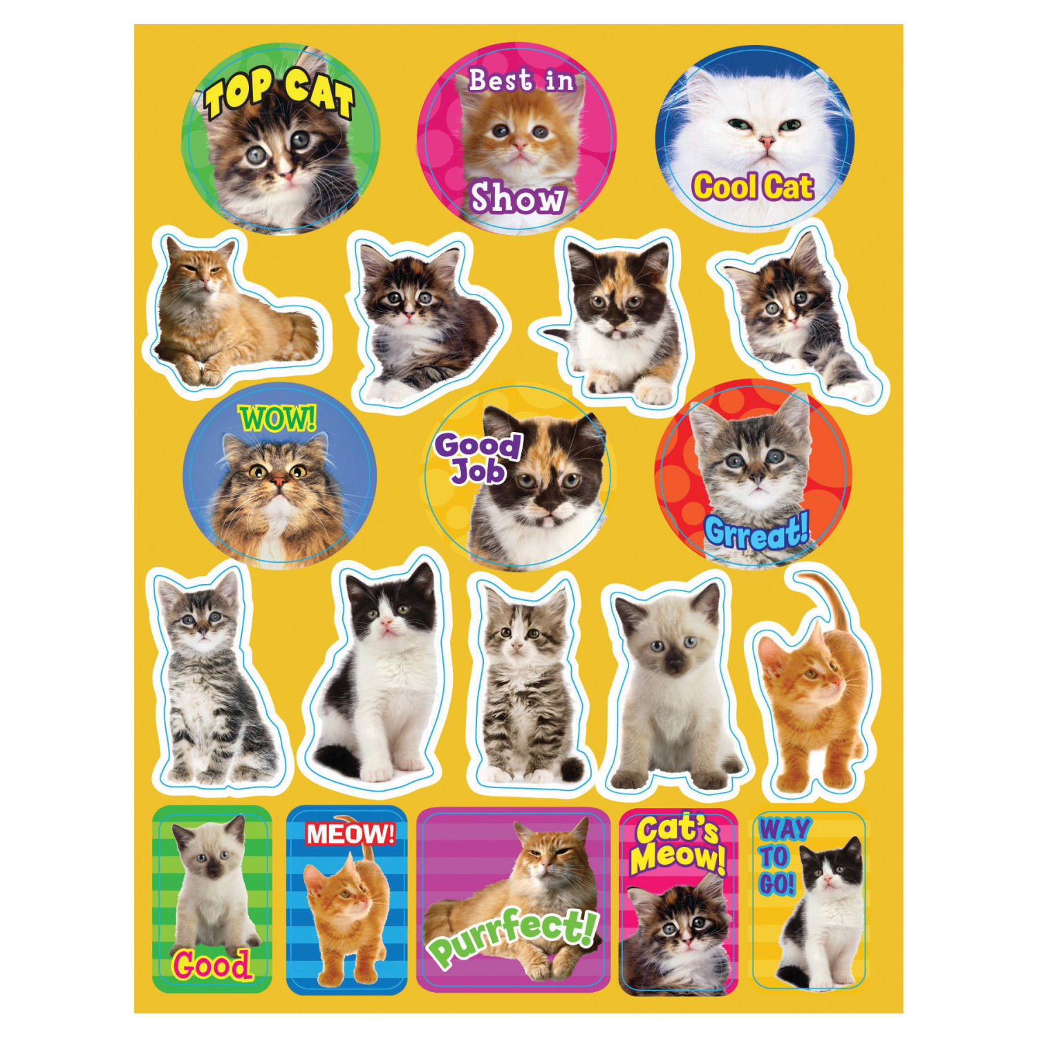 Eureka Theme Stickers, Motivational Cats, 120 Stickers Per Pack, Set Of 12 Packs - Image 3