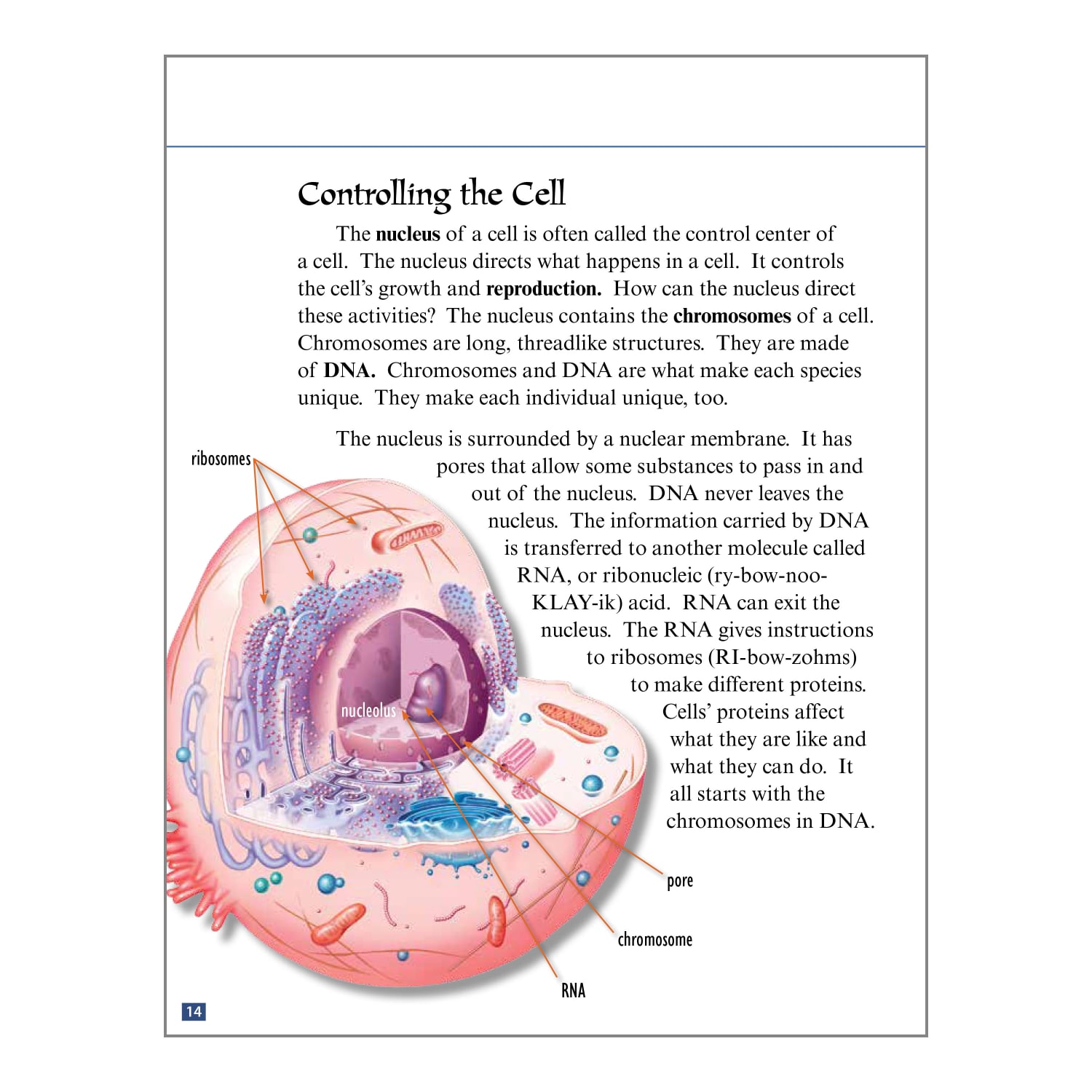Teacher Created Materials Cellular Biology Book Set, Grades 6 - 8, Set Of 6 Books - Image 6