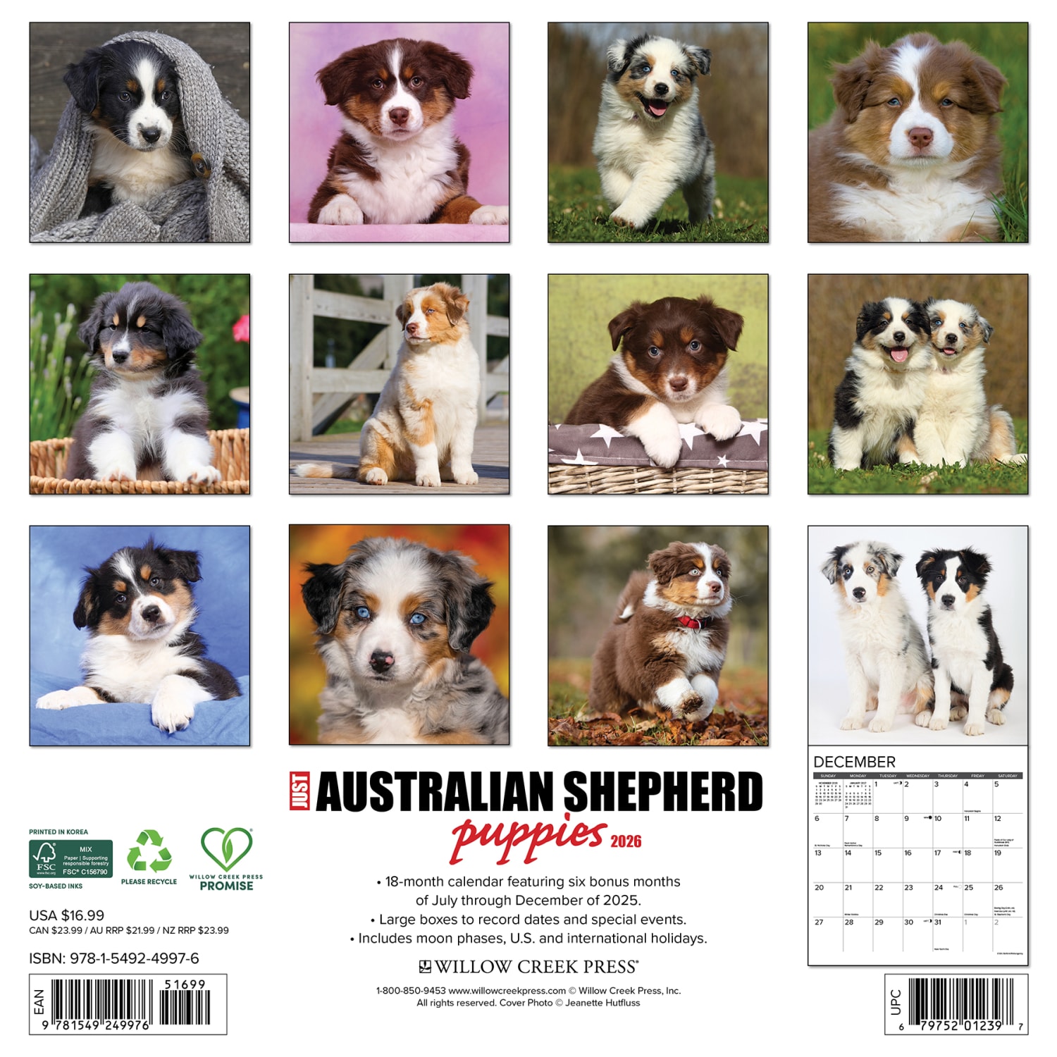 2026 Willow Creek Press Animals Monthly Wall Calendar, 12in x 12in, Australian Shepherd Puppies, January To December, 49976 - Image 6