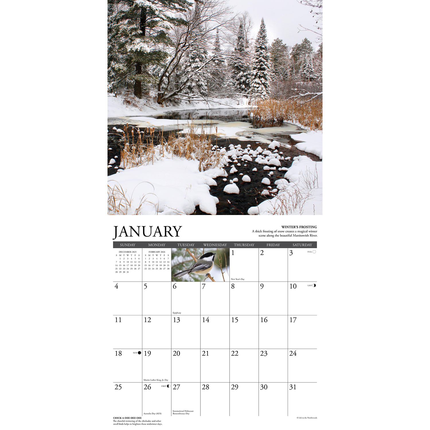 2026 Willow Creek Press Scenic Monthly Wall Calendar, 12in x 12in, Life in the Northwoods, January To December, 55472 - Image 3