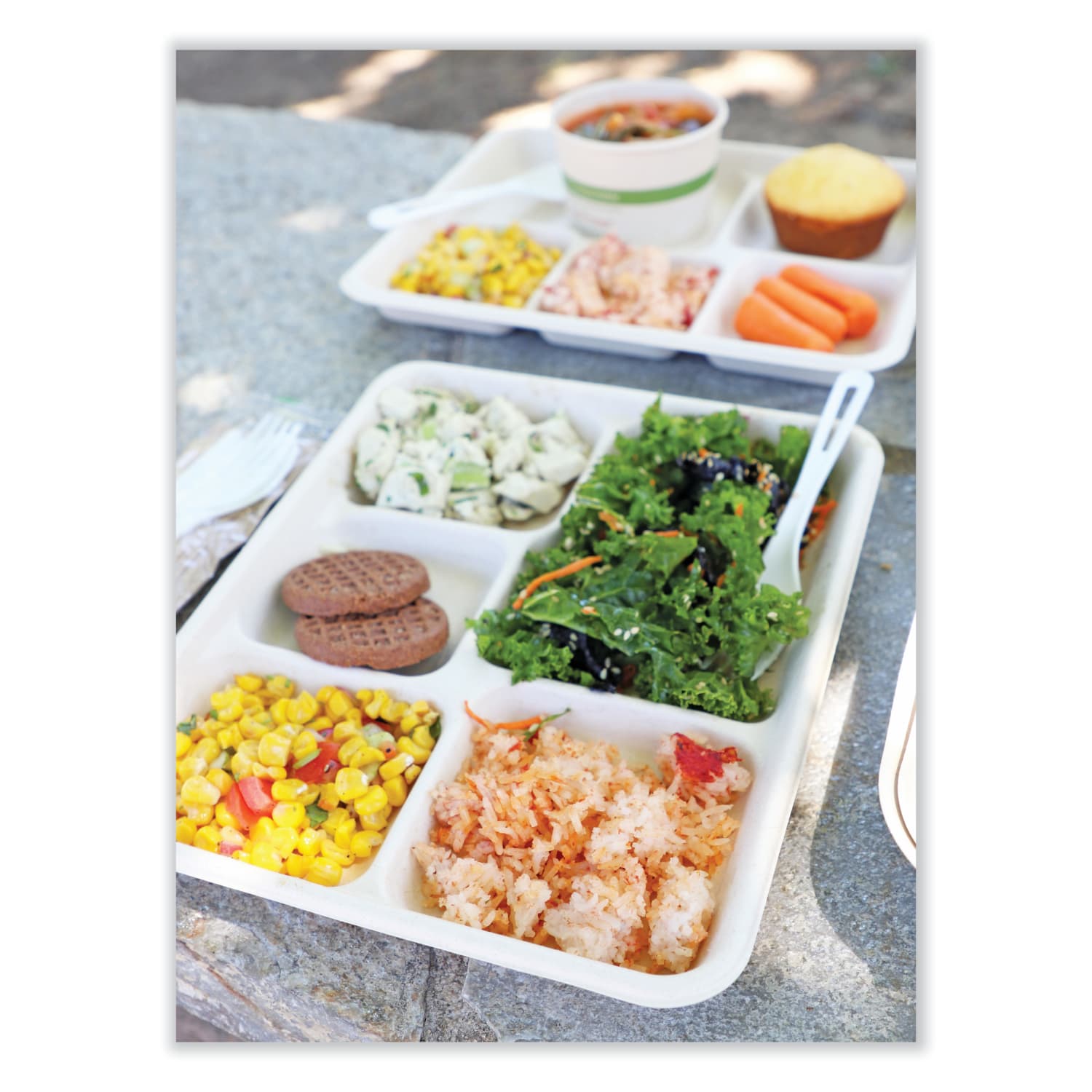 World Centric Fiber Trays, 8-1/2in x 10-1/4in x 1-1/16in, Natural Paper, Pack Of 400 Trays - Image 5
