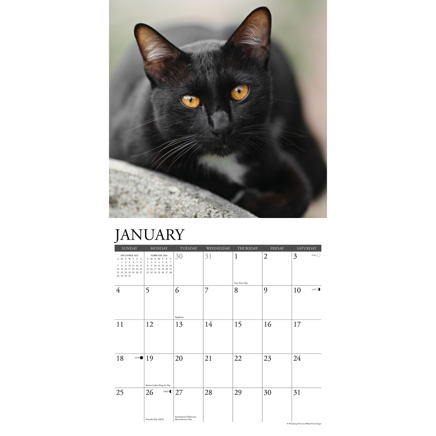 2026 Willow Creek Press Animals Monthly Wall Calendar, 12in x 12in, Black Cats, January To December, 50286 - Image 3