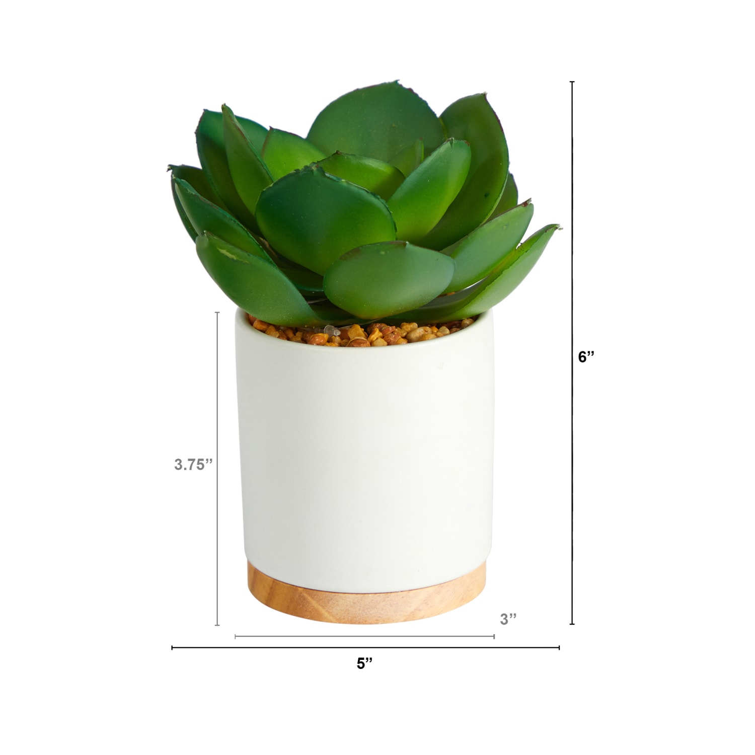 Nearly Natural Succulent 6inH Artificial Plant With Cement Planter, 6inH x 5inW x 5inD, Green/White - Image 3
