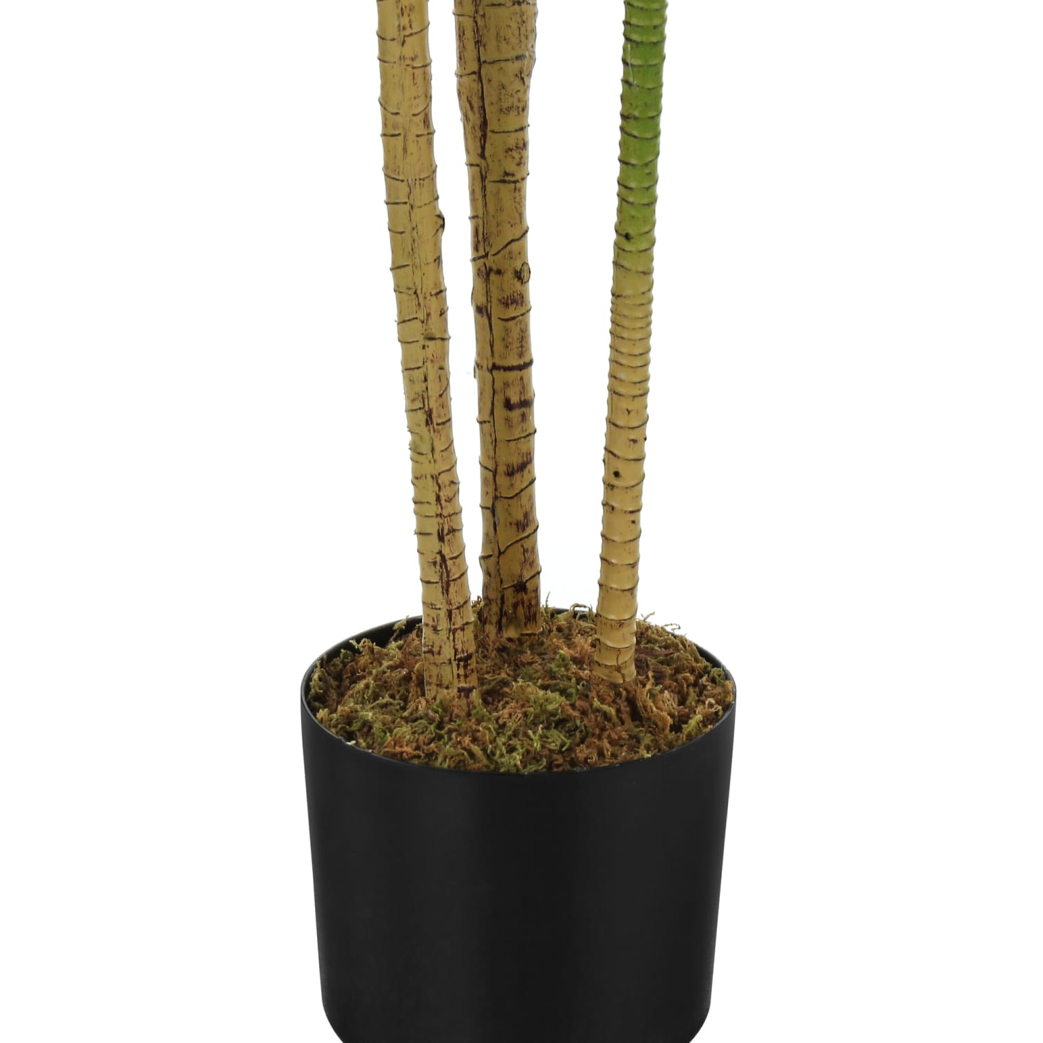 Monarch Specialties Neli 51-1/4inH Artificial Plant With Pot, 51-1/4inH x 23-1/2inW x 23-1/2inD, Green - Image 4