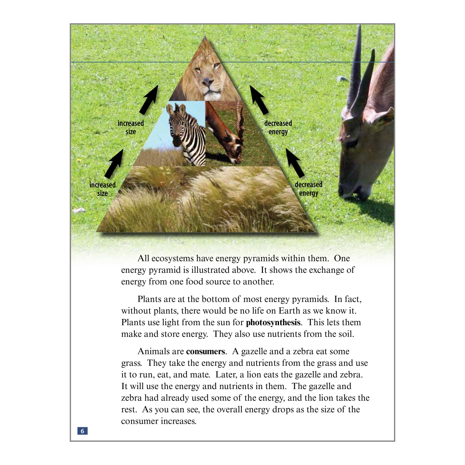 Teacher Created Materials Biomes And Ecosystems Book Set, Grades 2 - 4, Set Of 7 Books - Image 4