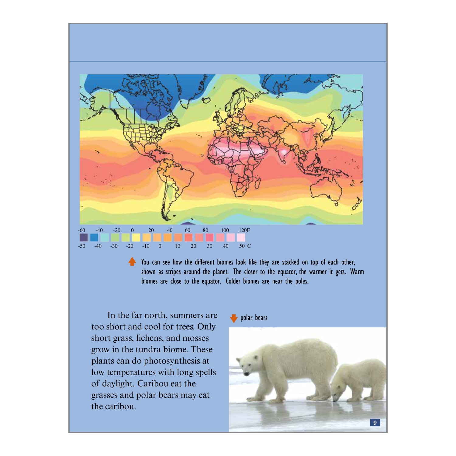 Teacher Created Materials Biomes And Ecosystems Book Set, Grades 2 - 4, Set Of 7 Books - Image 5