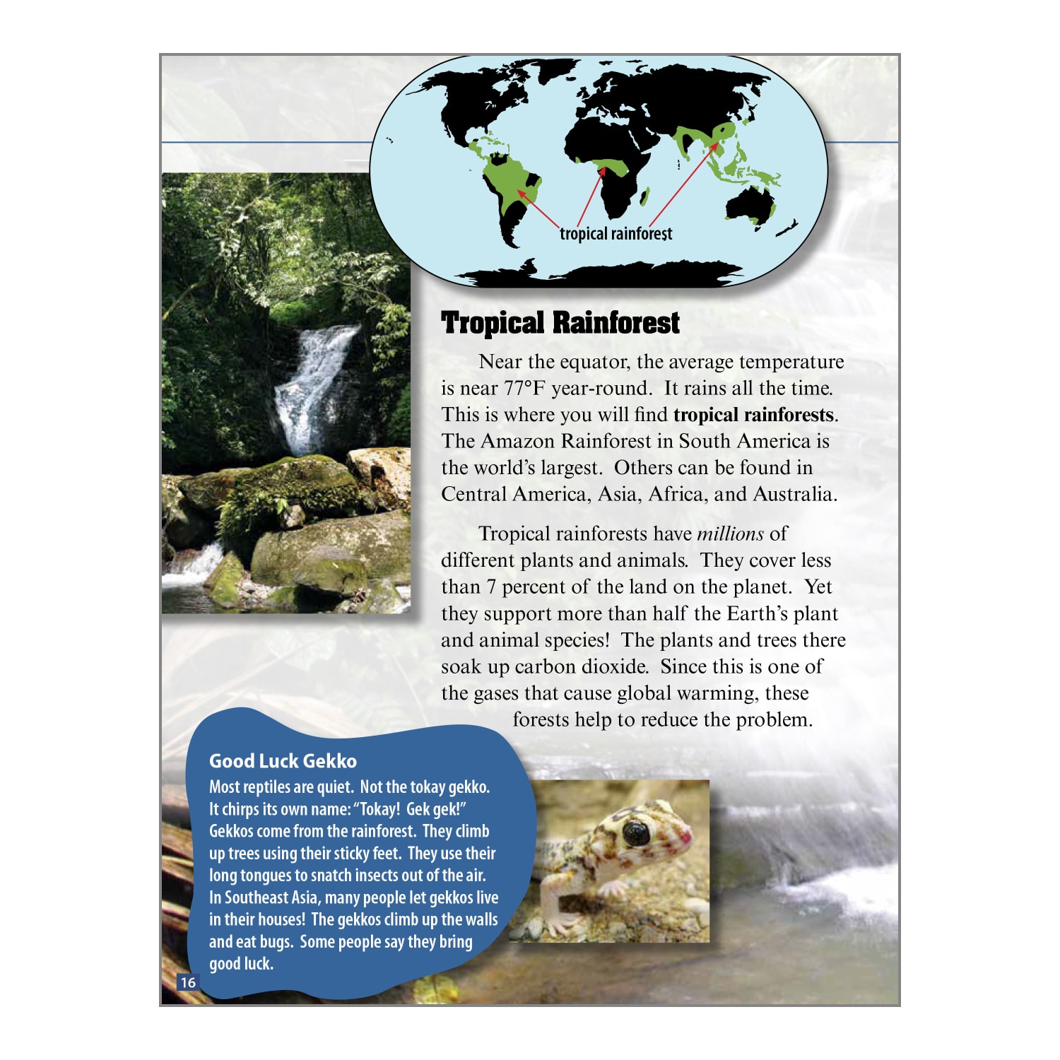 Teacher Created Materials Biomes And Ecosystems Book Set, Grades 2 - 4, Set Of 7 Books - Image 6