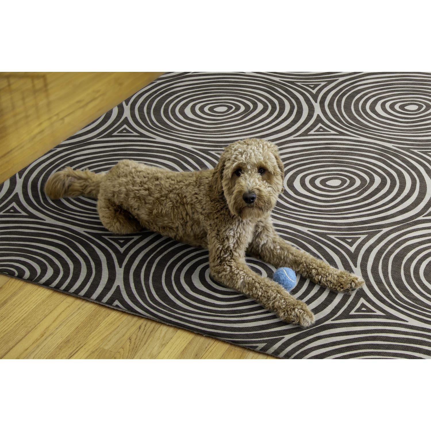 Linon Washable Outdoor Area Rug, Wycklow, 5ft x 7ft, Ivory/Brown - Image 5