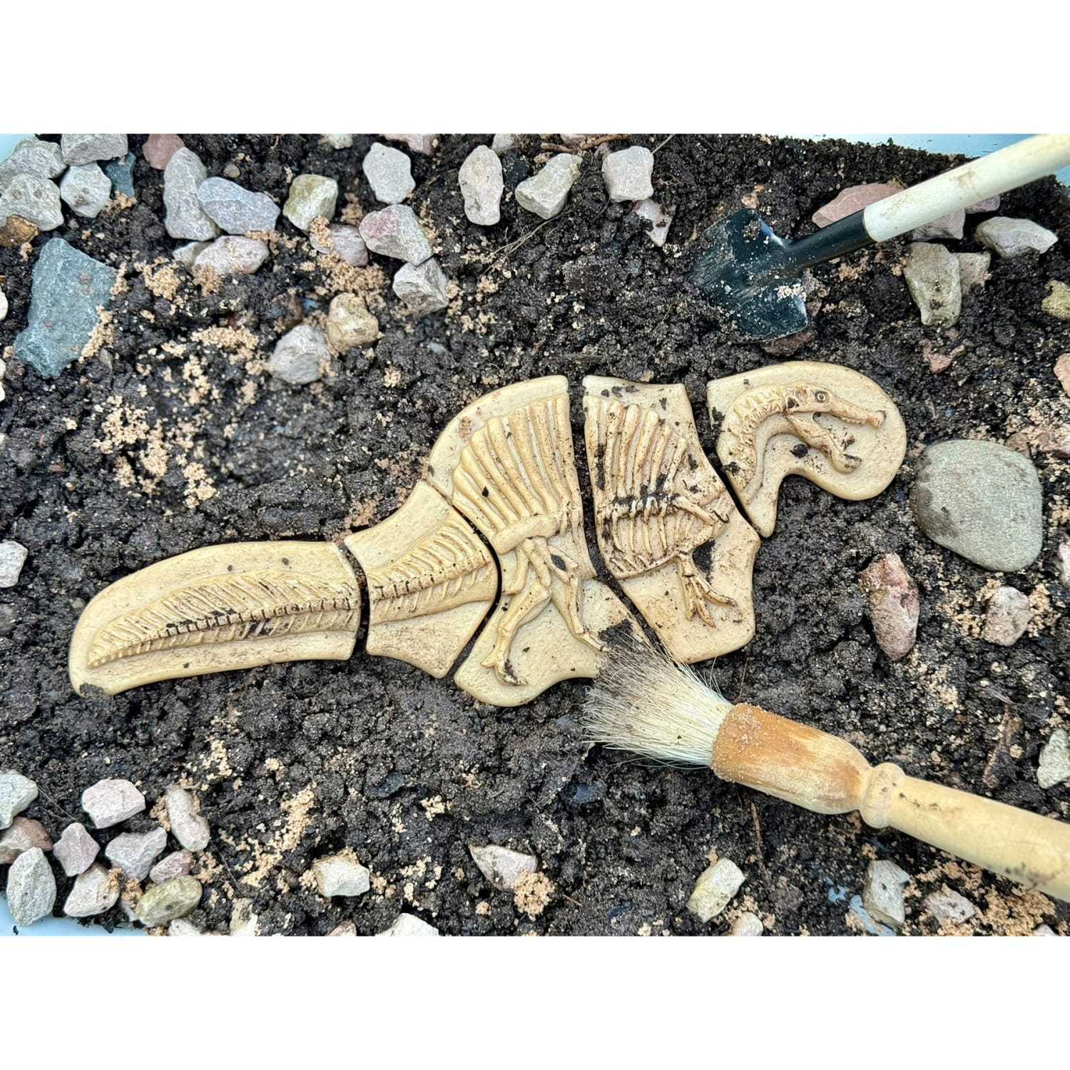 Yellow Door Dig and Discover, Triceratops & Spinosaurus - Image 4