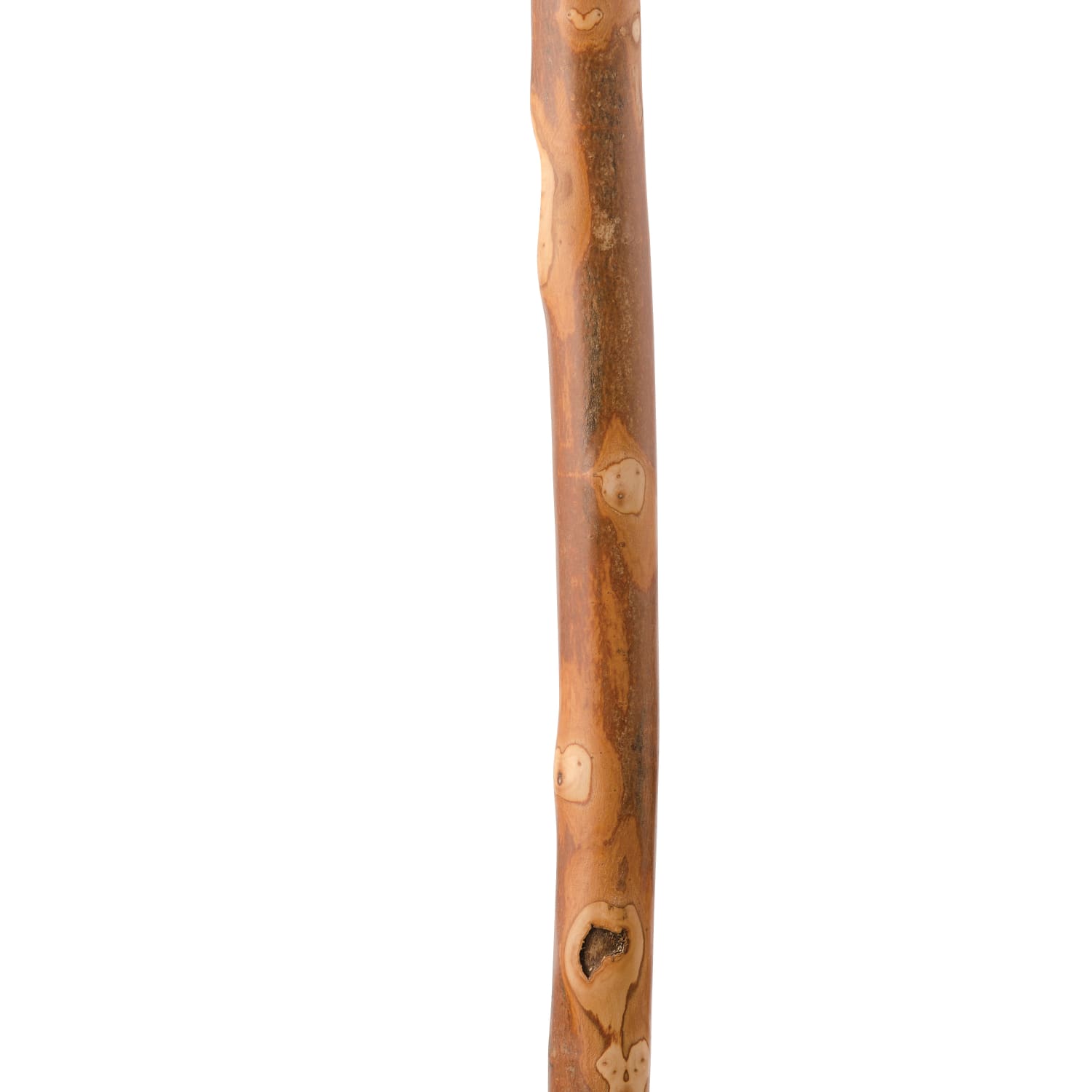 Brazos Walking Sticks Free Form American Hardwood Walking Stick, With Compass, 55in - Image 5