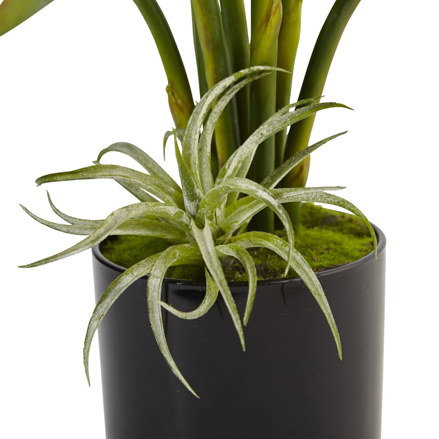 Nearly Natural Bird Of Paradise 24inH Plastic Silk Floral Arrangement With Black Glossy Cylinder Planter, 24inH x 20-1/2inW x 20-1/2inD, Orange - Image 3