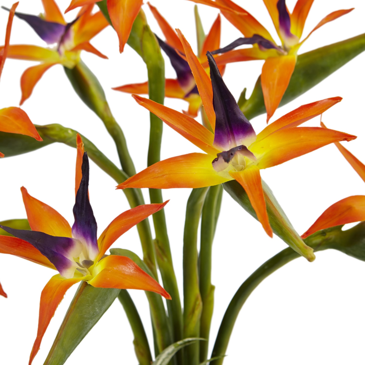 Nearly Natural Bird Of Paradise 24inH Plastic Silk Floral Arrangement With Black Glossy Cylinder Planter, 24inH x 20-1/2inW x 20-1/2inD, Orange - Image 4