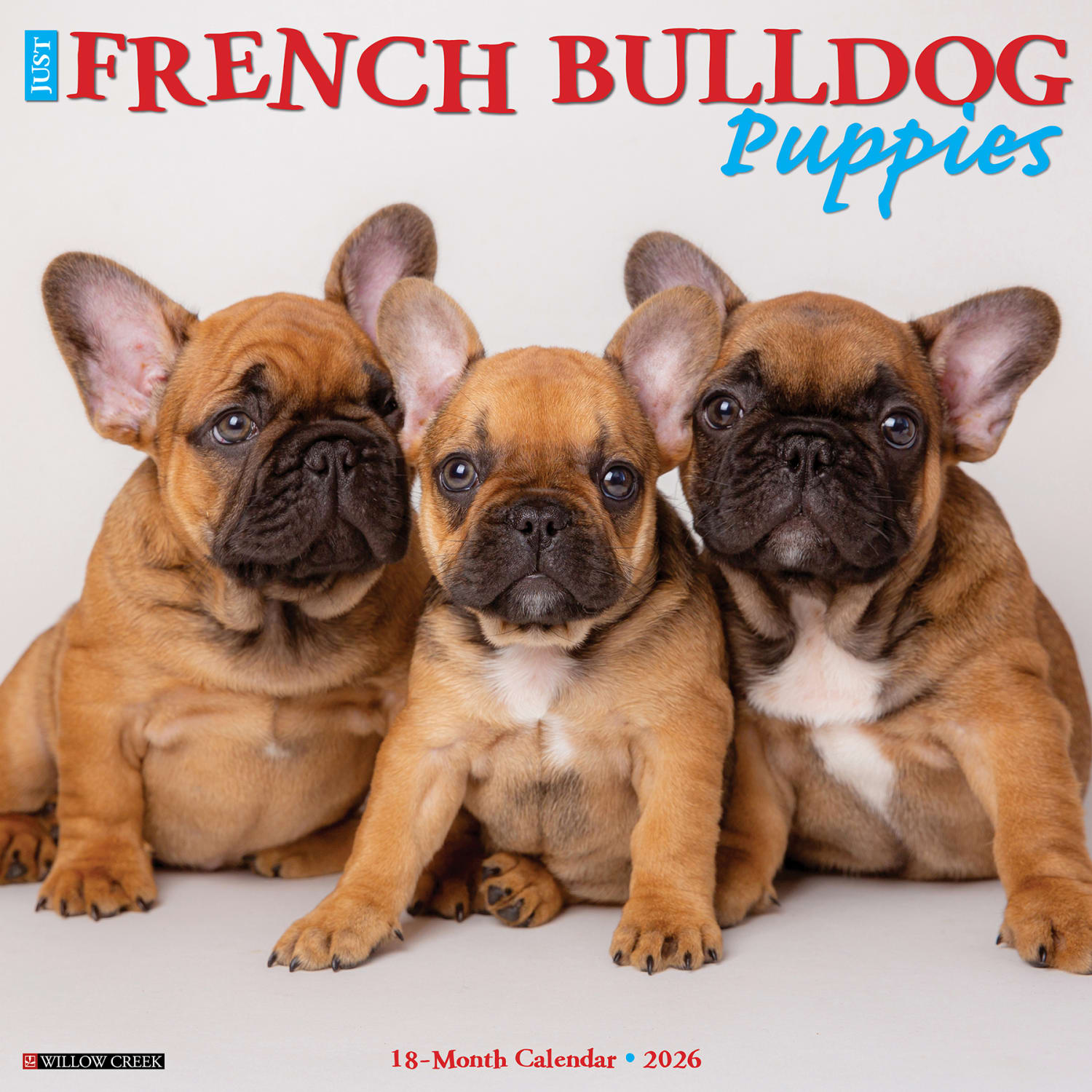 2026 Willow Creek Press Animals Monthly Wall Calendar, 12in x 12in, French Bulldog Puppies, January To December, 51160