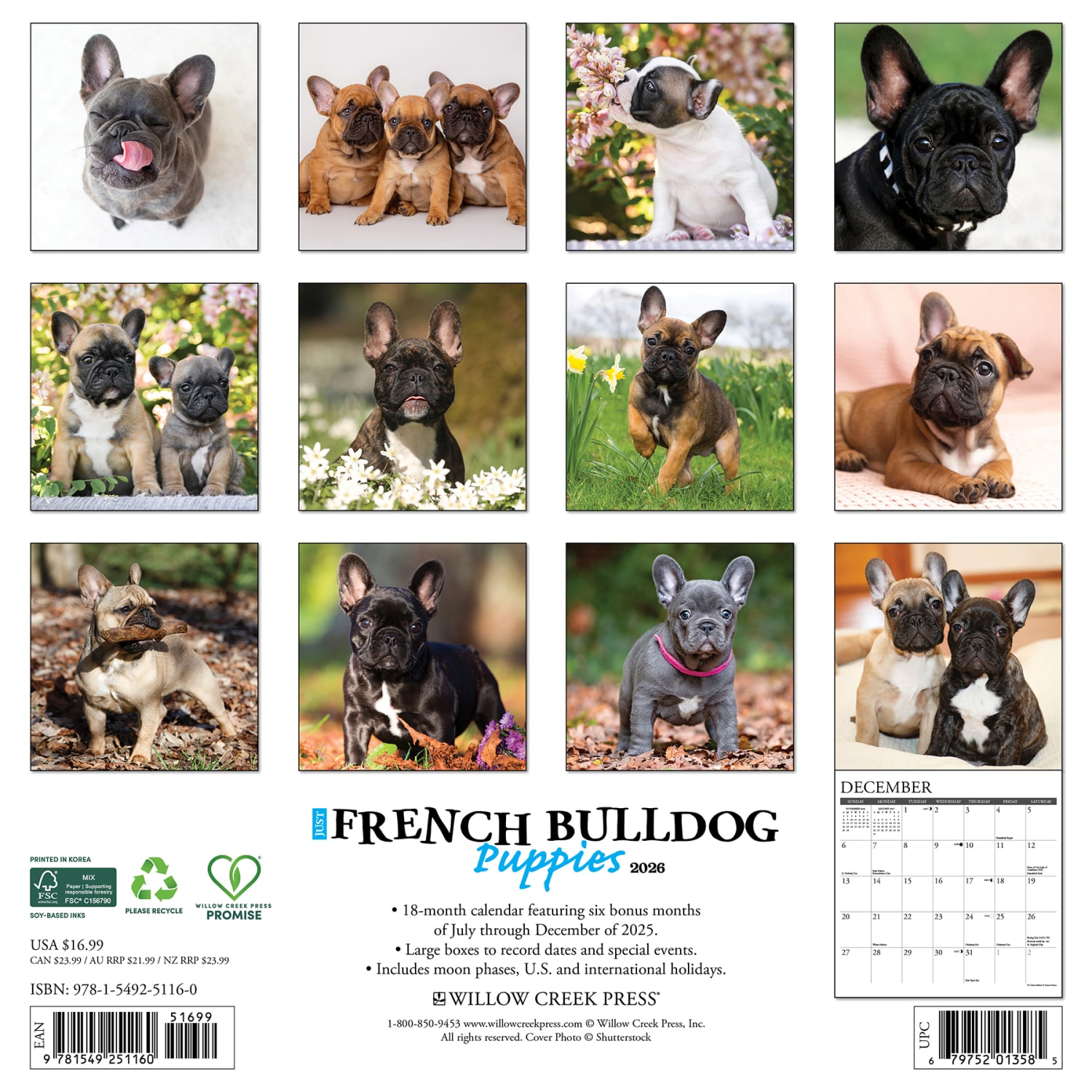 2026 Willow Creek Press Animals Monthly Wall Calendar, 12in x 12in, French Bulldog Puppies, January To December, 51160 - Image 6