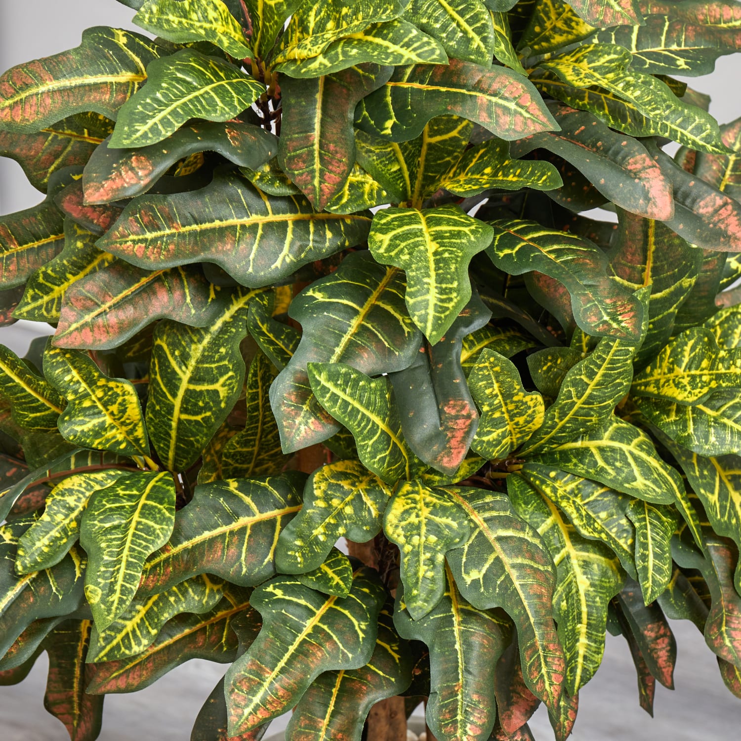 Nearly Natural Croton 42inH Artificial Plant With Planter, 42inH x 22inW x 22inD, Green/Sand - Image 5