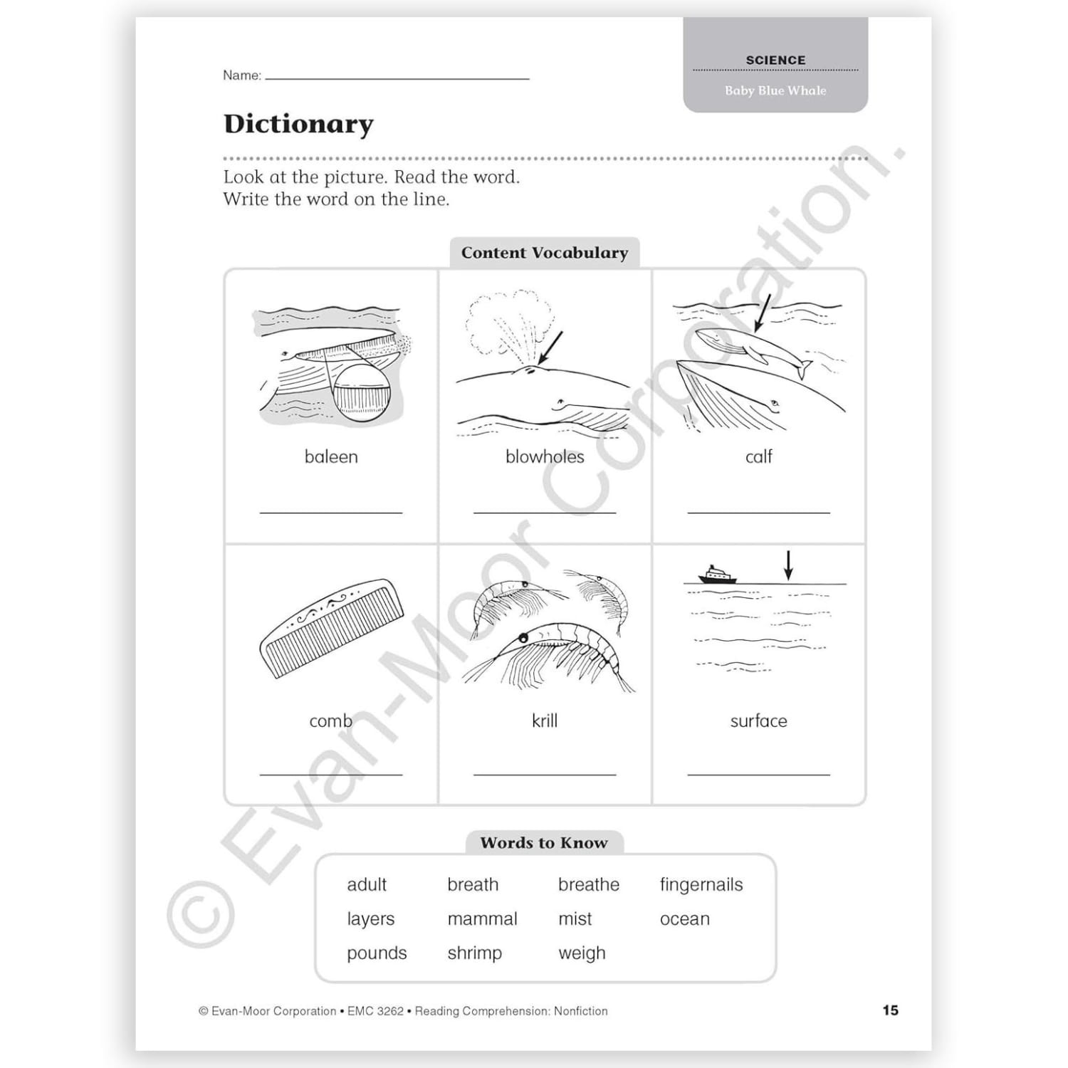 Evan-Moor Educational Publishers Reading Comprehension: Nonfiction, Grade 2 - Image 5