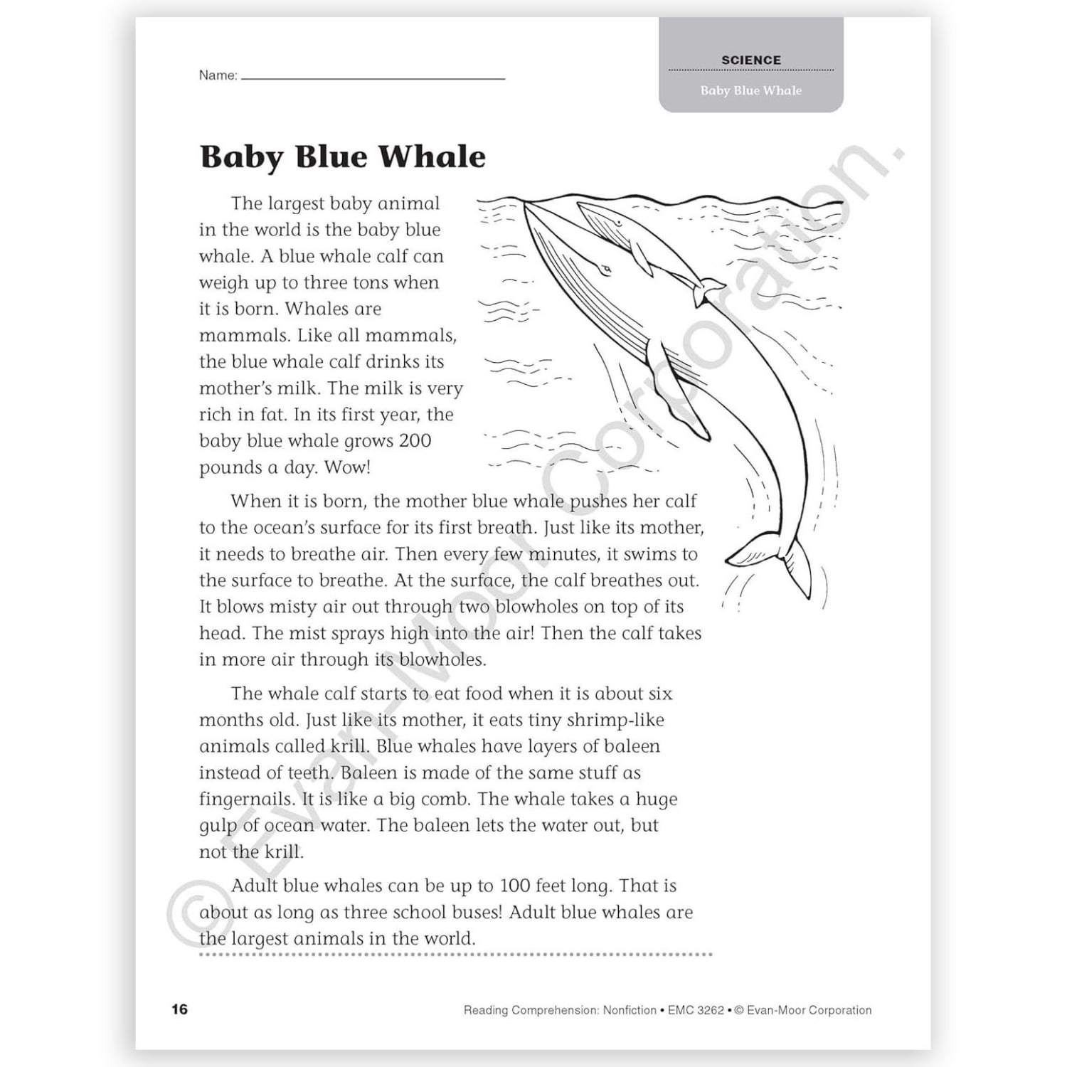 Evan-Moor Educational Publishers Reading Comprehension: Nonfiction, Grade 2 - Image 6