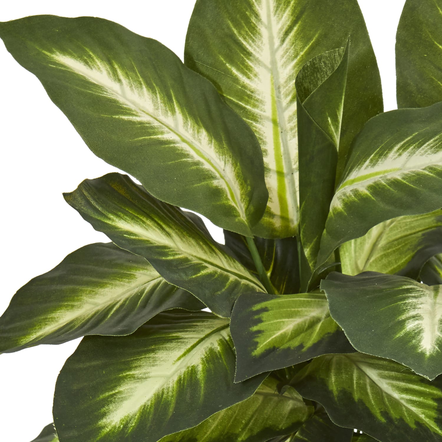 Nearly Natural 18inH Dieffenbachia Artificial Plant With Ceramic Planter, 18inH x 16inW x 16inD, Tan/Green - Image 3